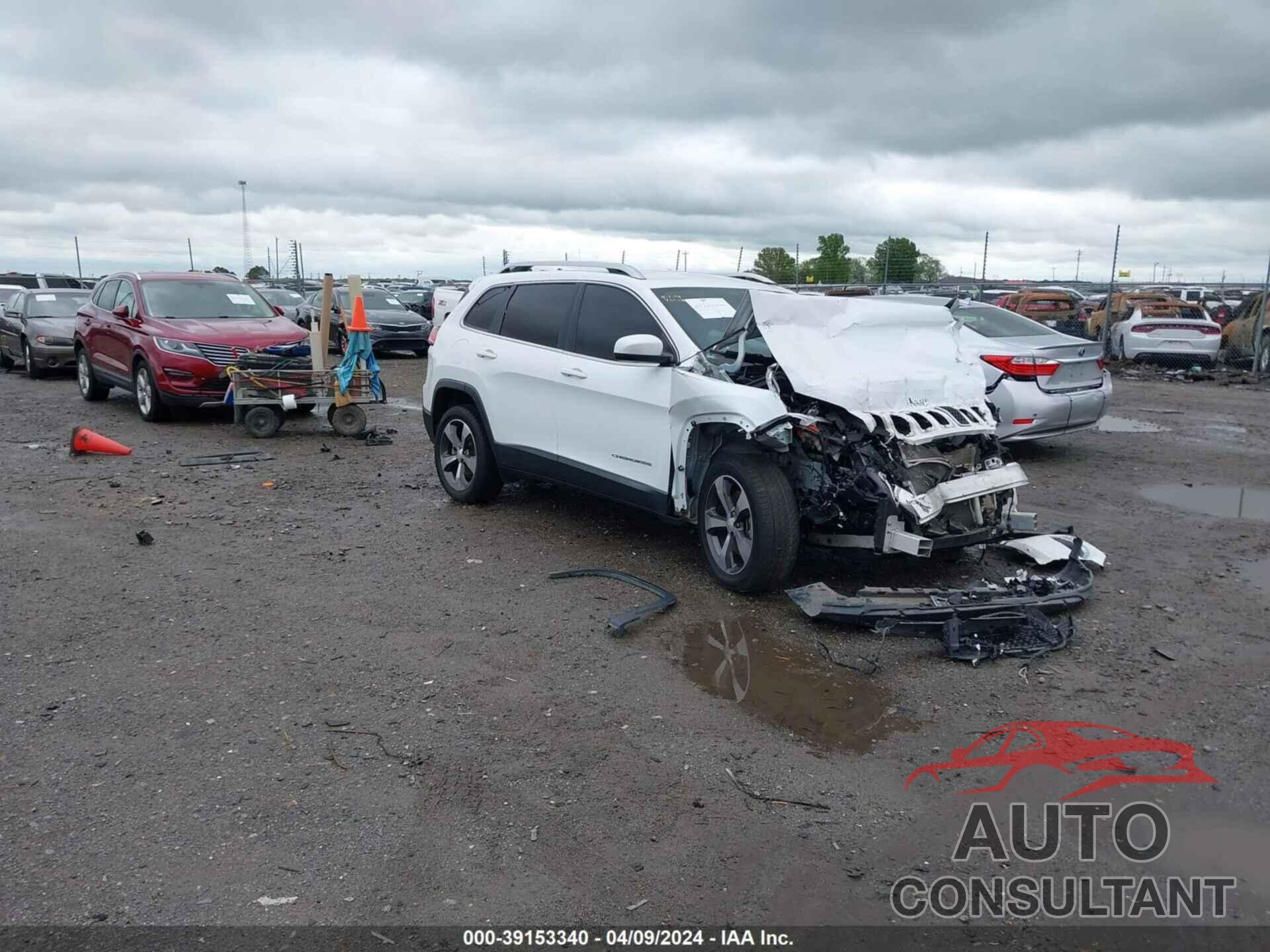 JEEP CHEROKEE 2019 - 1C4PJLDB9KD347783