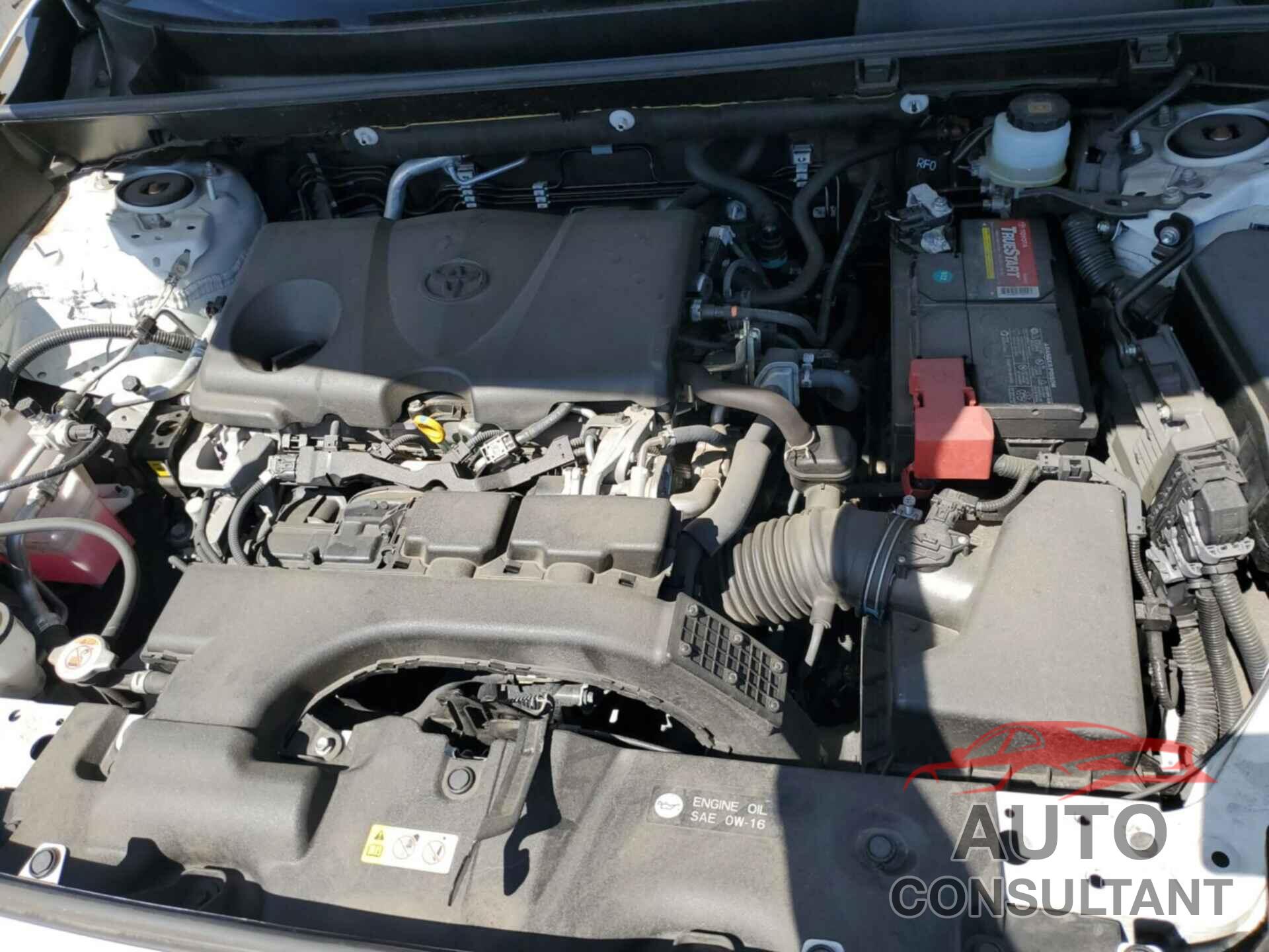 TOYOTA RAV4 2019 - JTMG1RFV2KJ003935
