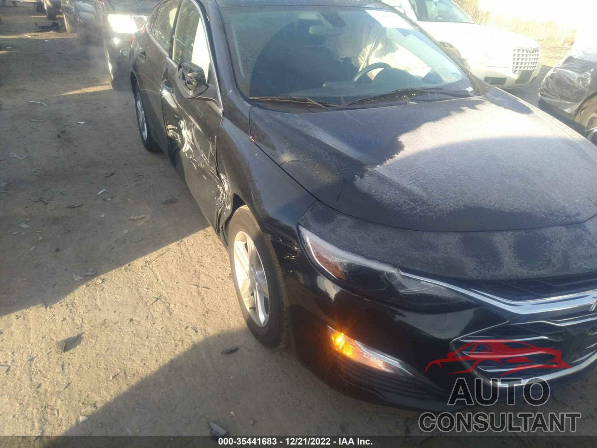 CHEVROLET MALIBU 2019 - 1G1ZB5ST7KF226504