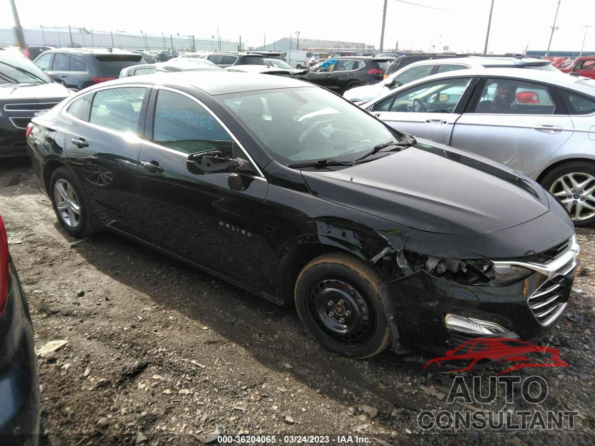 CHEVROLET MALIBU 2019 - 1G1ZC5ST7KF210686