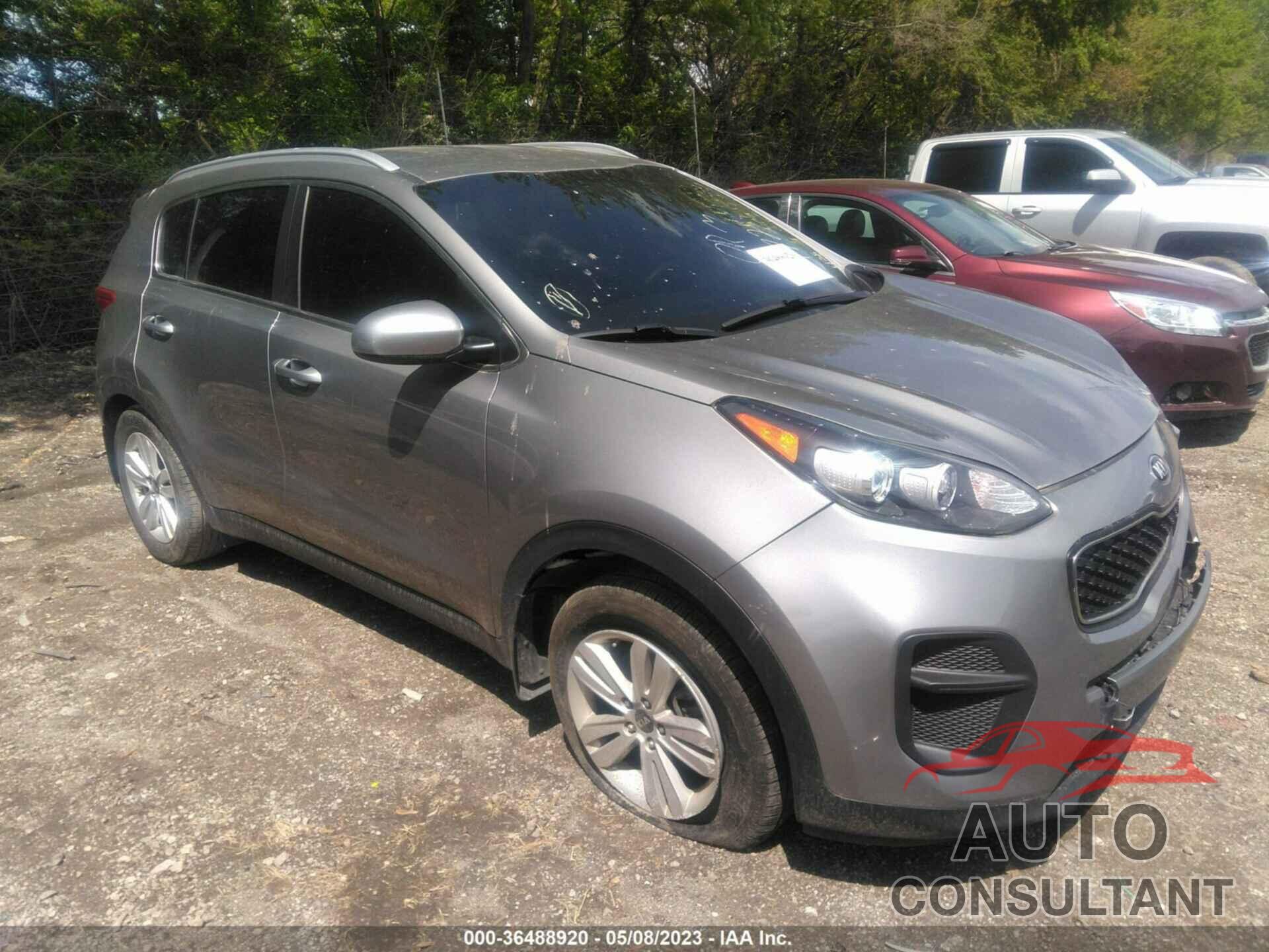 KIA SPORTAGE 2019 - KNDPM3AC9K7597186