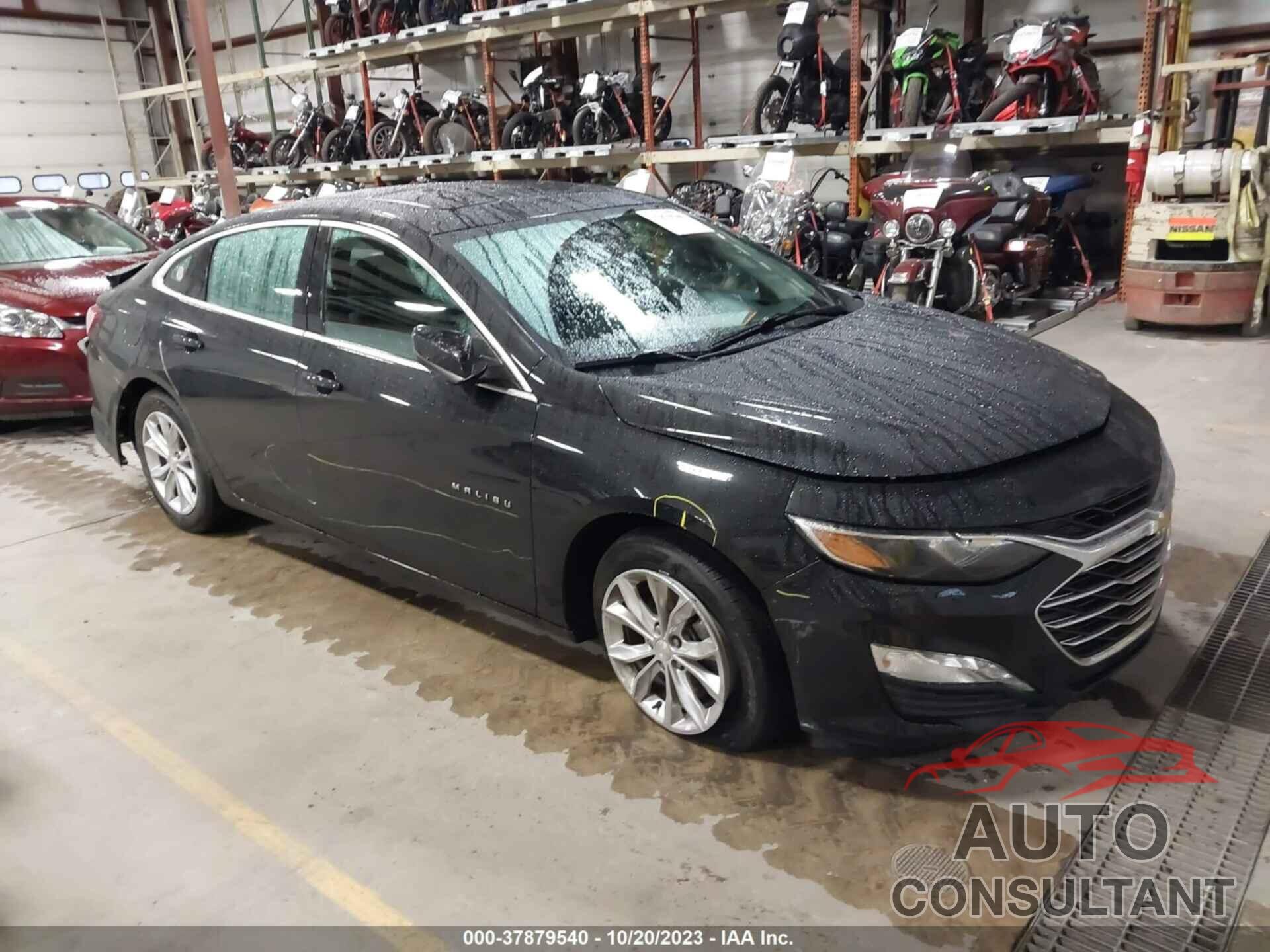 CHEVROLET MALIBU 2019 - 1G1ZD5ST7KF218977