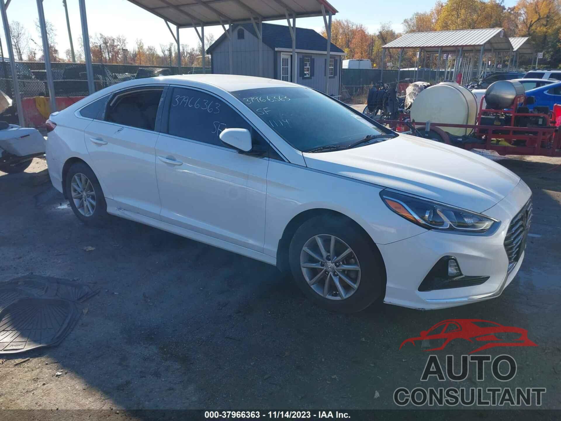HYUNDAI SONATA 2019 - 5NPE24AF1KH812536