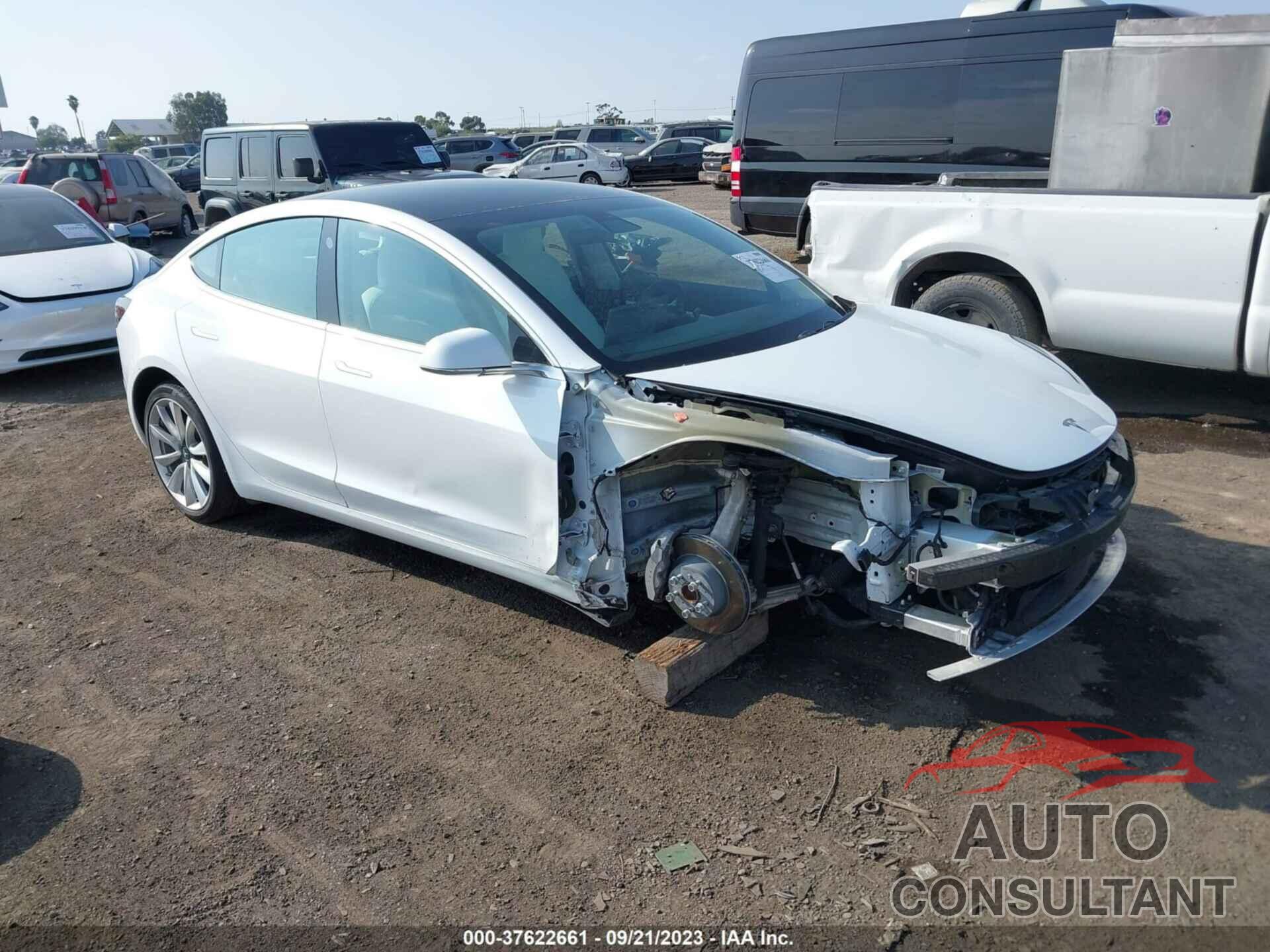 TESLA MODEL 3 2019 - 5YJ3E1EA3KF445083