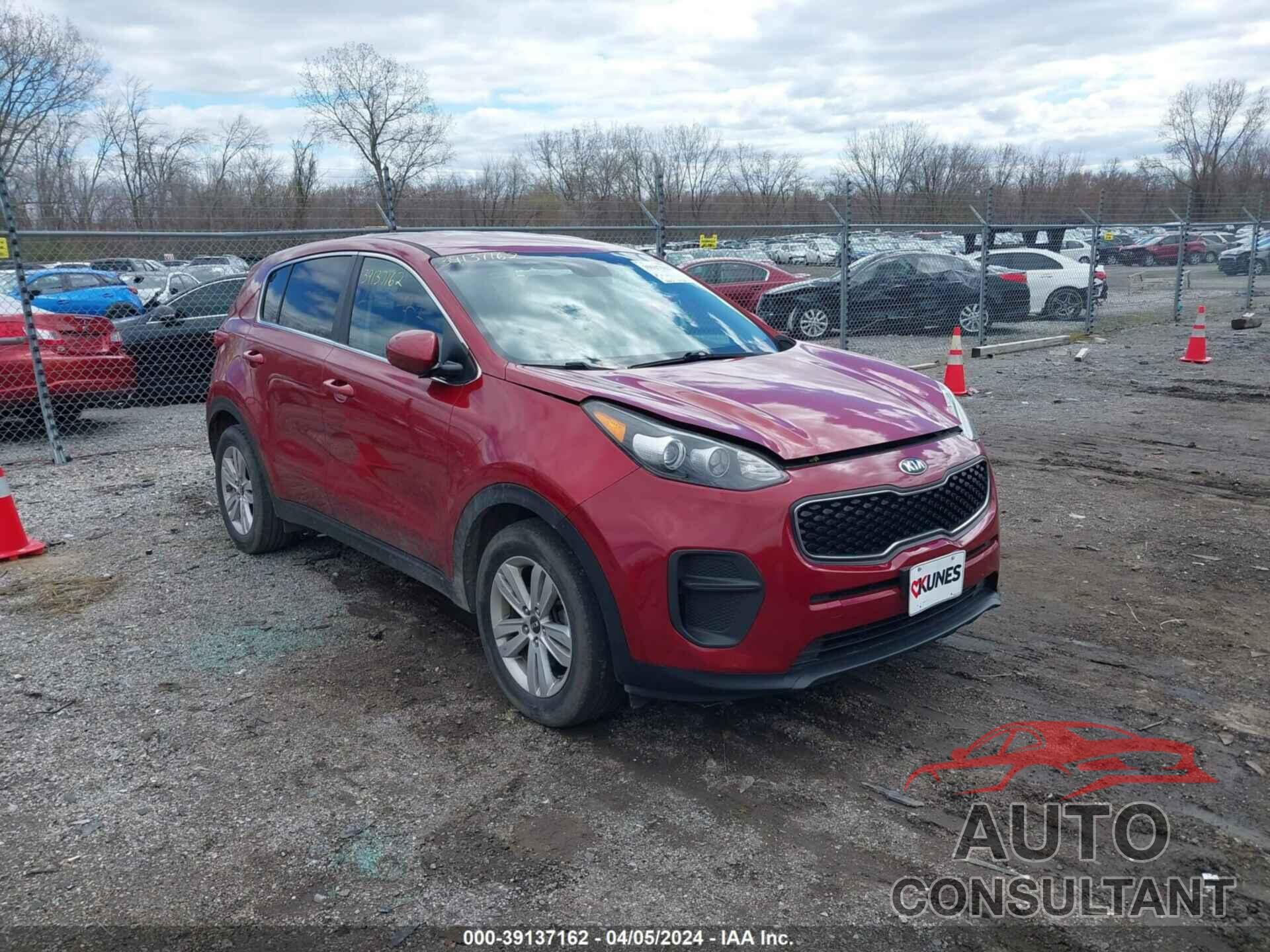 KIA SPORTAGE 2017 - KNDPM3AC4H7176775