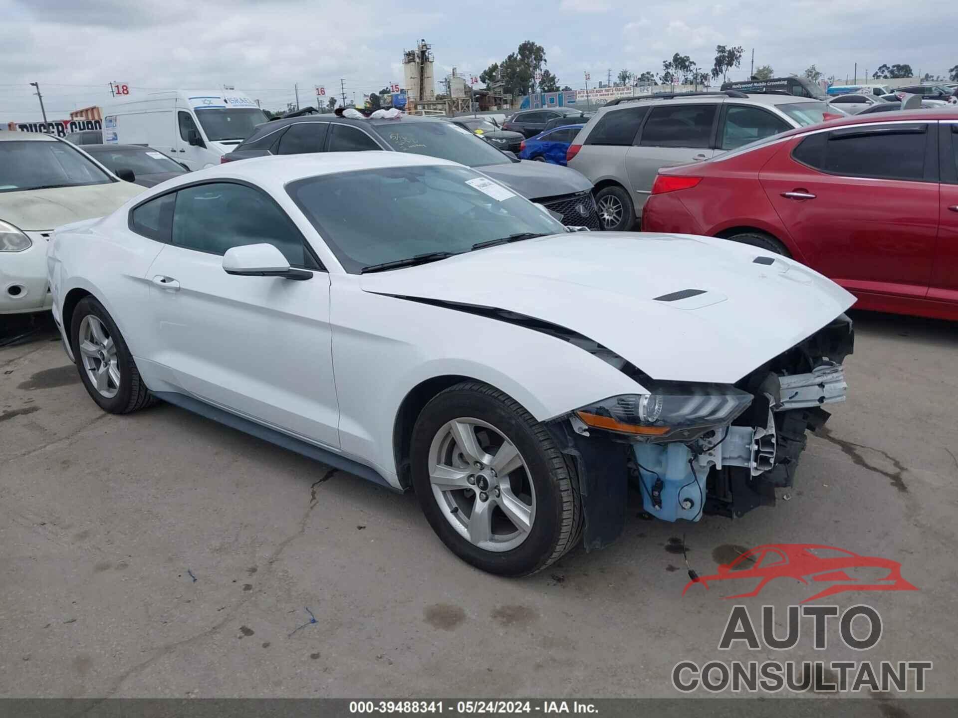 FORD MUSTANG 2019 - 1FA6P8TH0K5176497