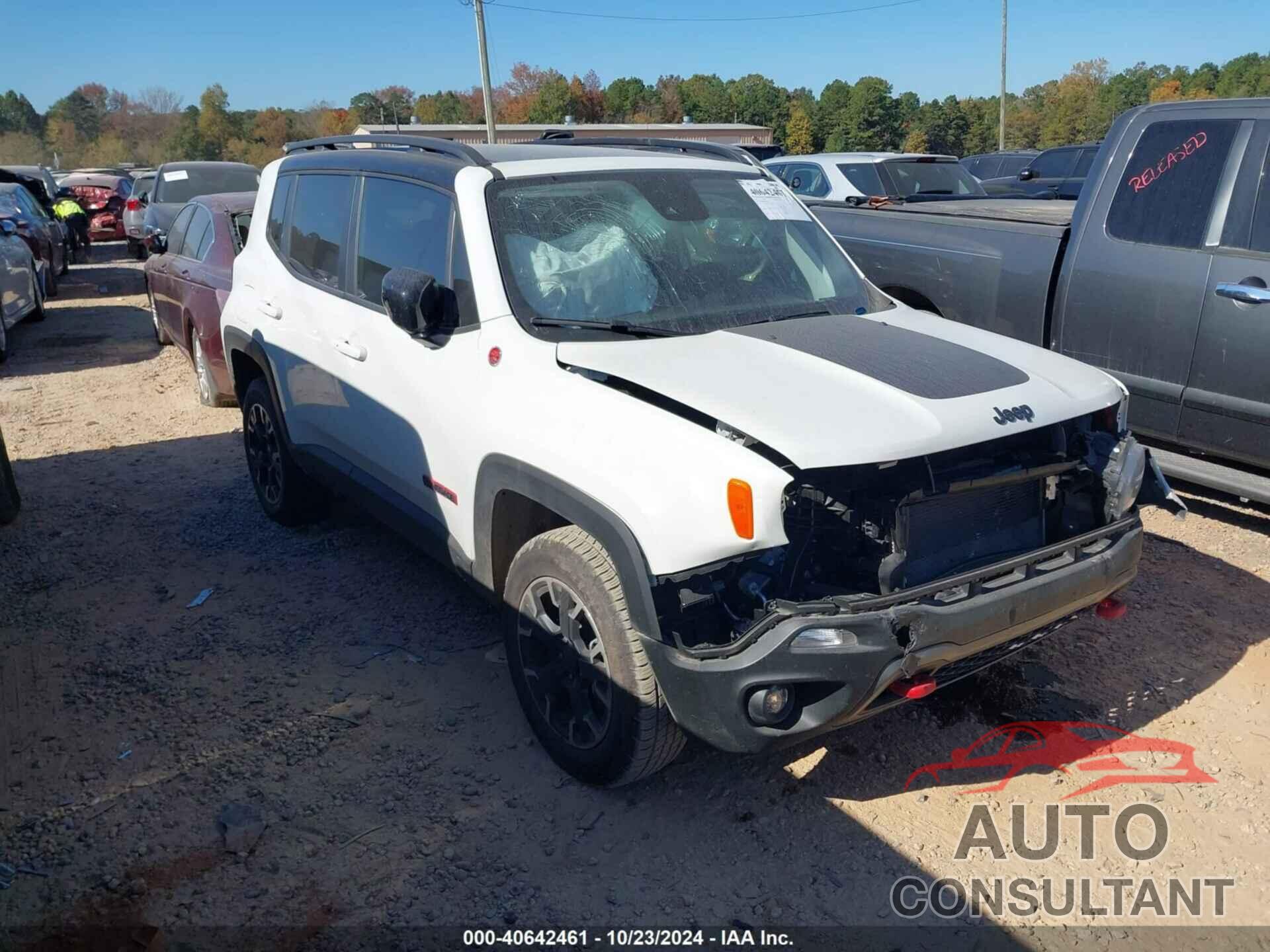 JEEP RENEGADE 2023 - ZACNJDC17PPP38264