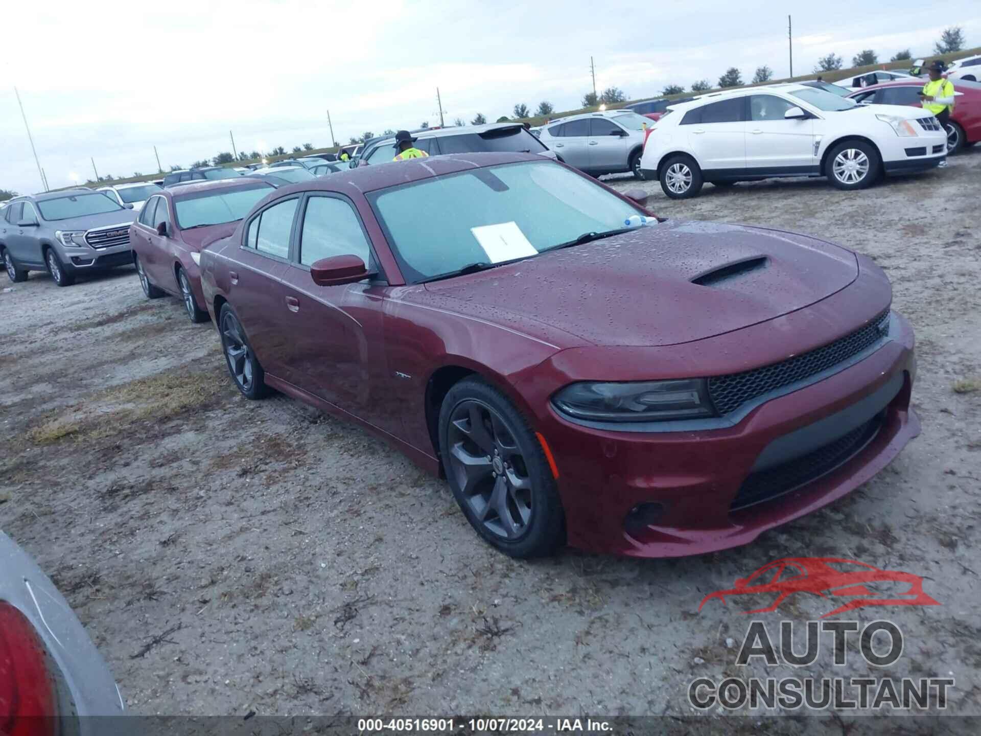 DODGE CHARGER 2019 - 2C3CDXCT1KH619399