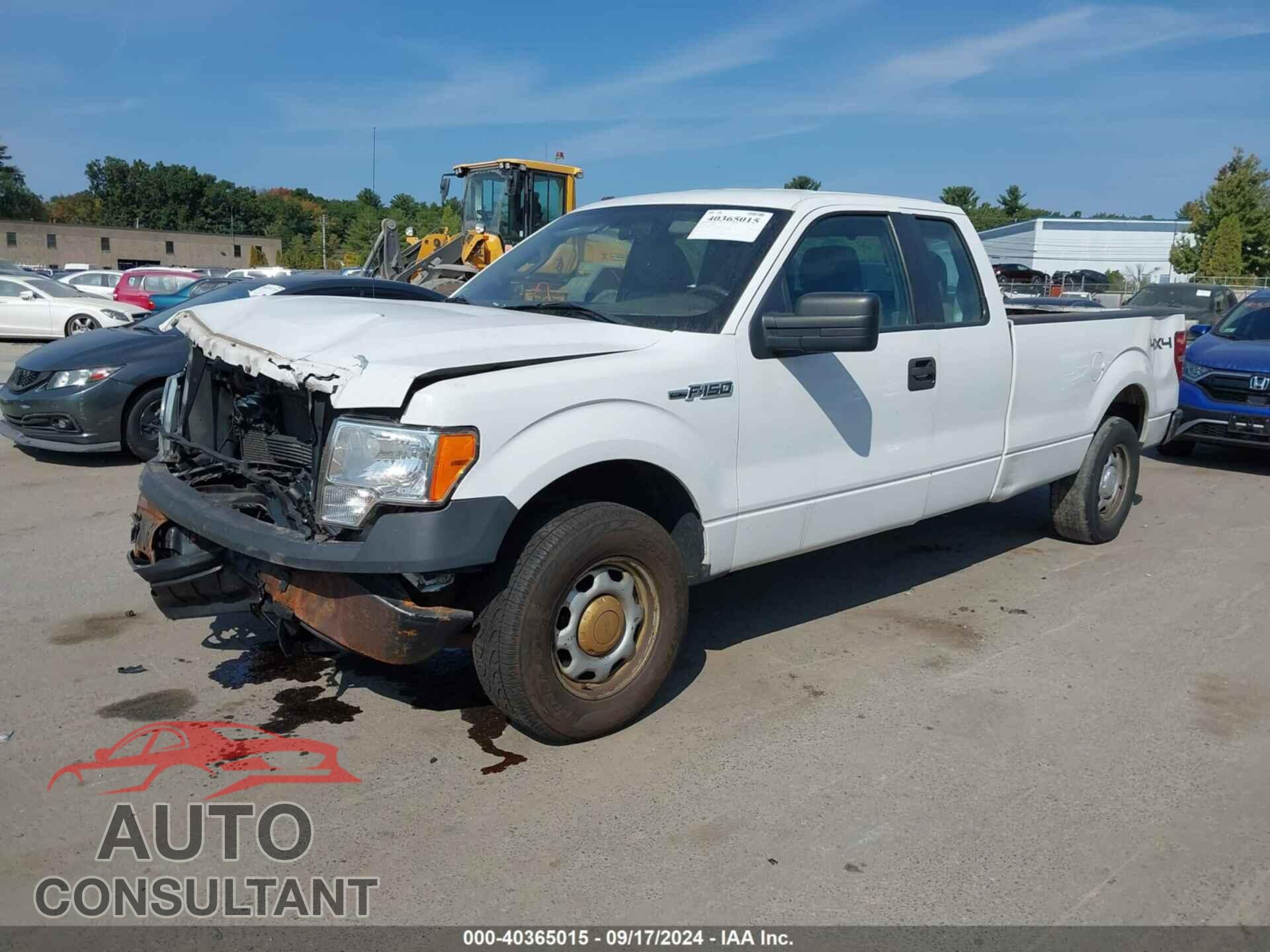 FORD F-150 2014 - 1FTFX1EF4EKE45667
