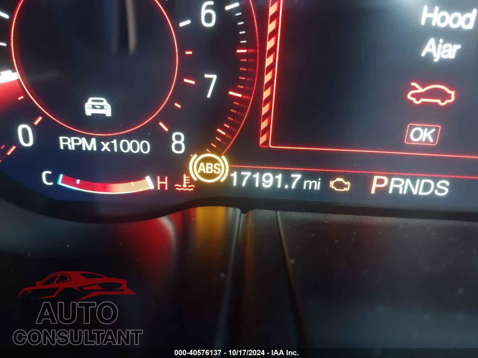 FORD MUSTANG 2019 - 1FA6P8TH4K5129814
