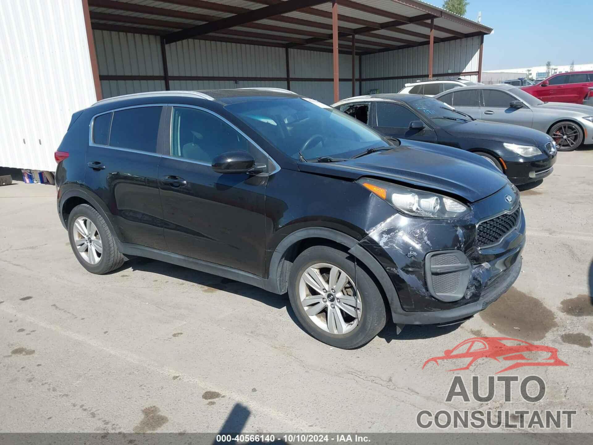 KIA SPORTAGE 2017 - KNDPM3AC0H7049800