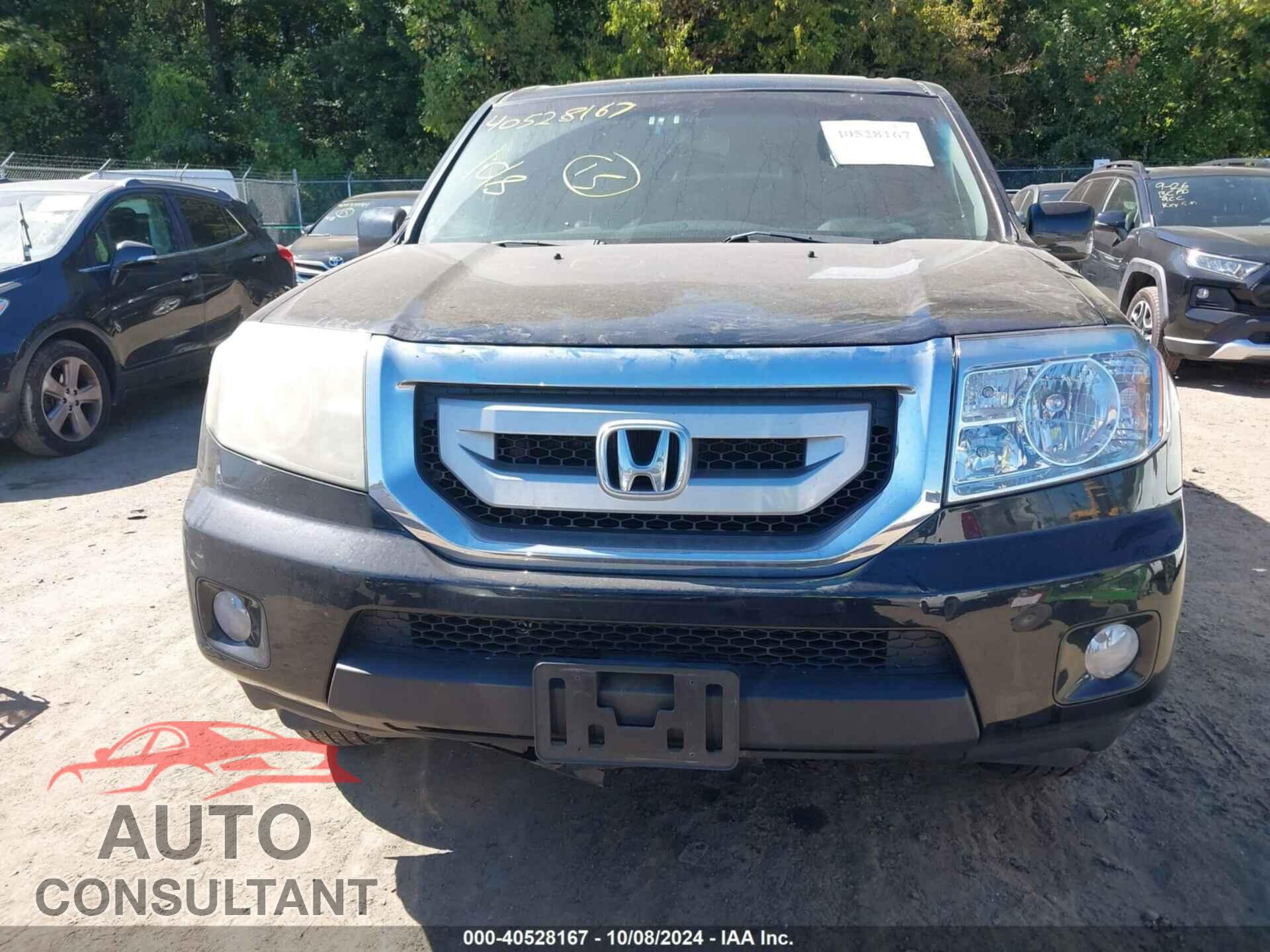 HONDA PILOT 2011 - 5FNYF4H55BB057629