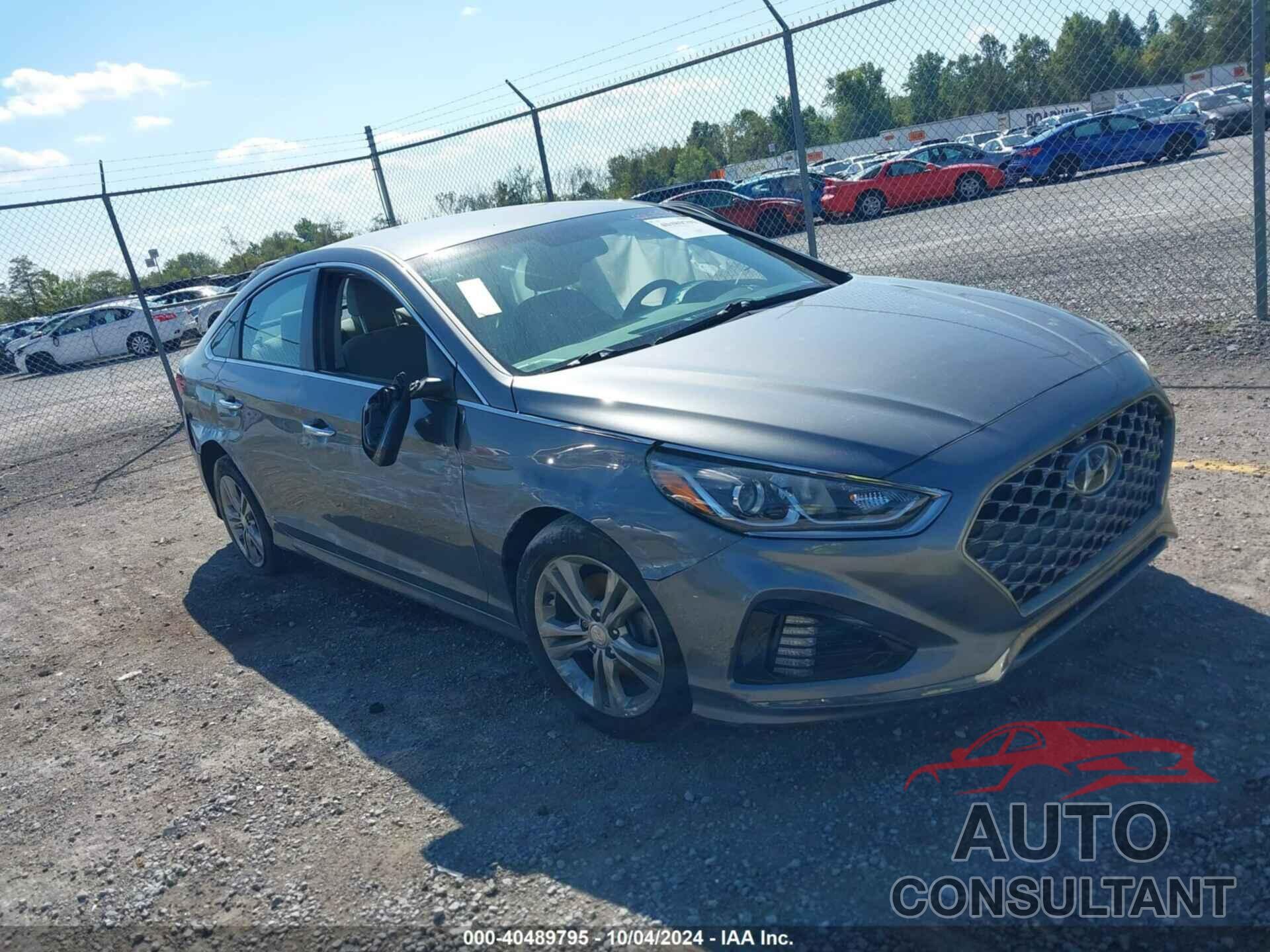 HYUNDAI SONATA 2019 - 5NPE34AF9KH760330