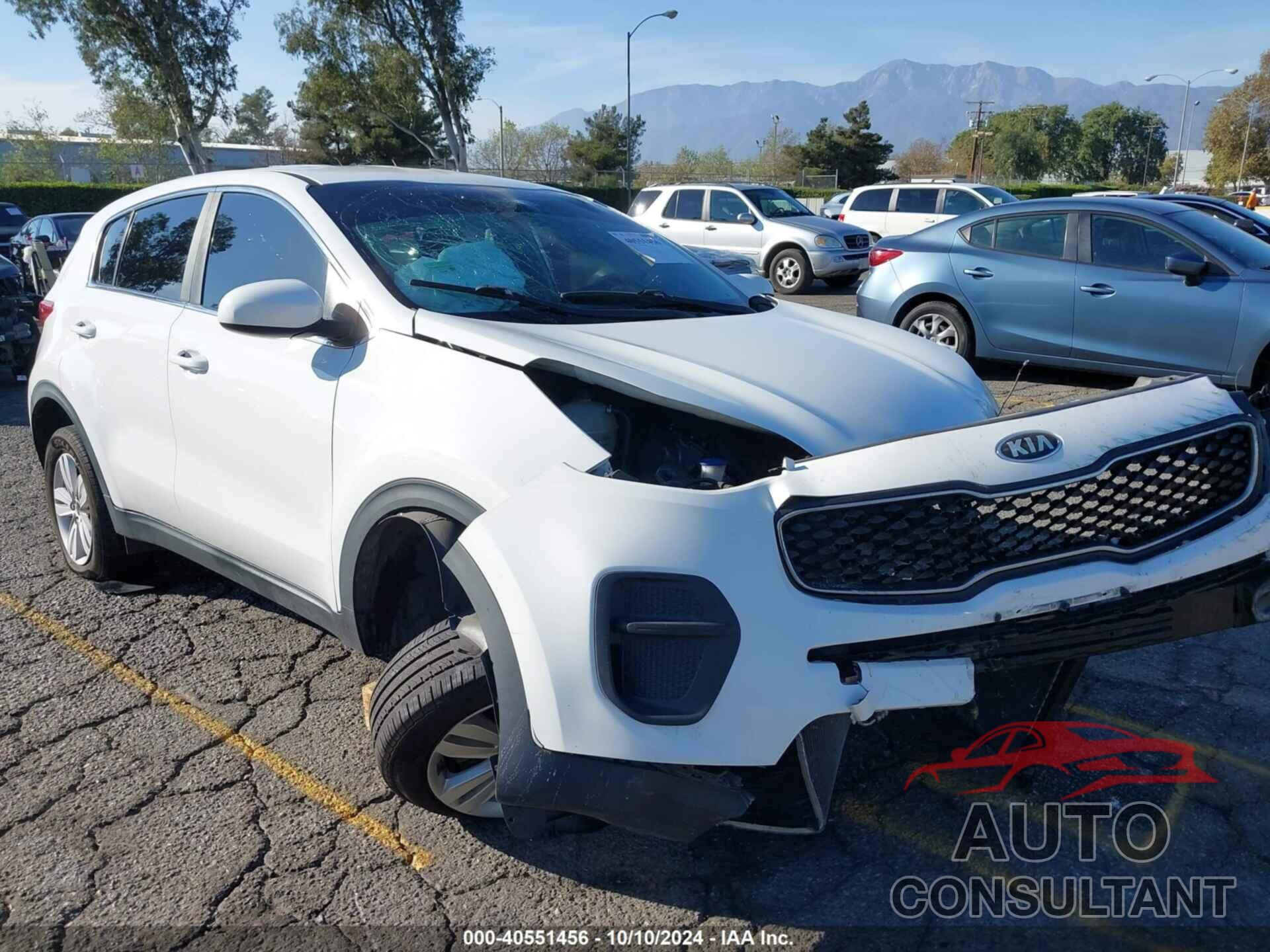 KIA SPORTAGE 2019 - KNDPM3AC7K7512524