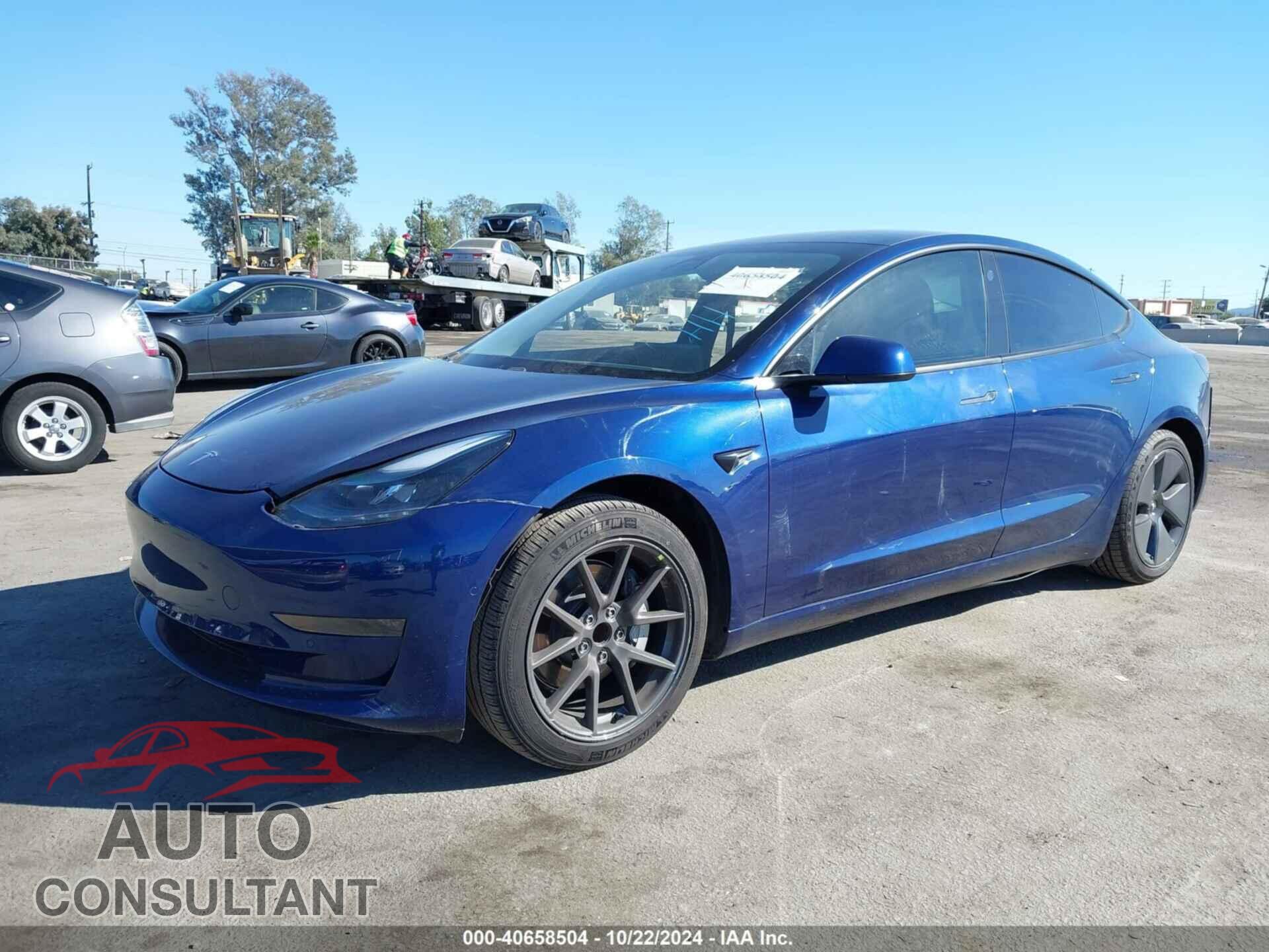 TESLA MODEL 3 2021 - 5YJ3E1EA1MF921513