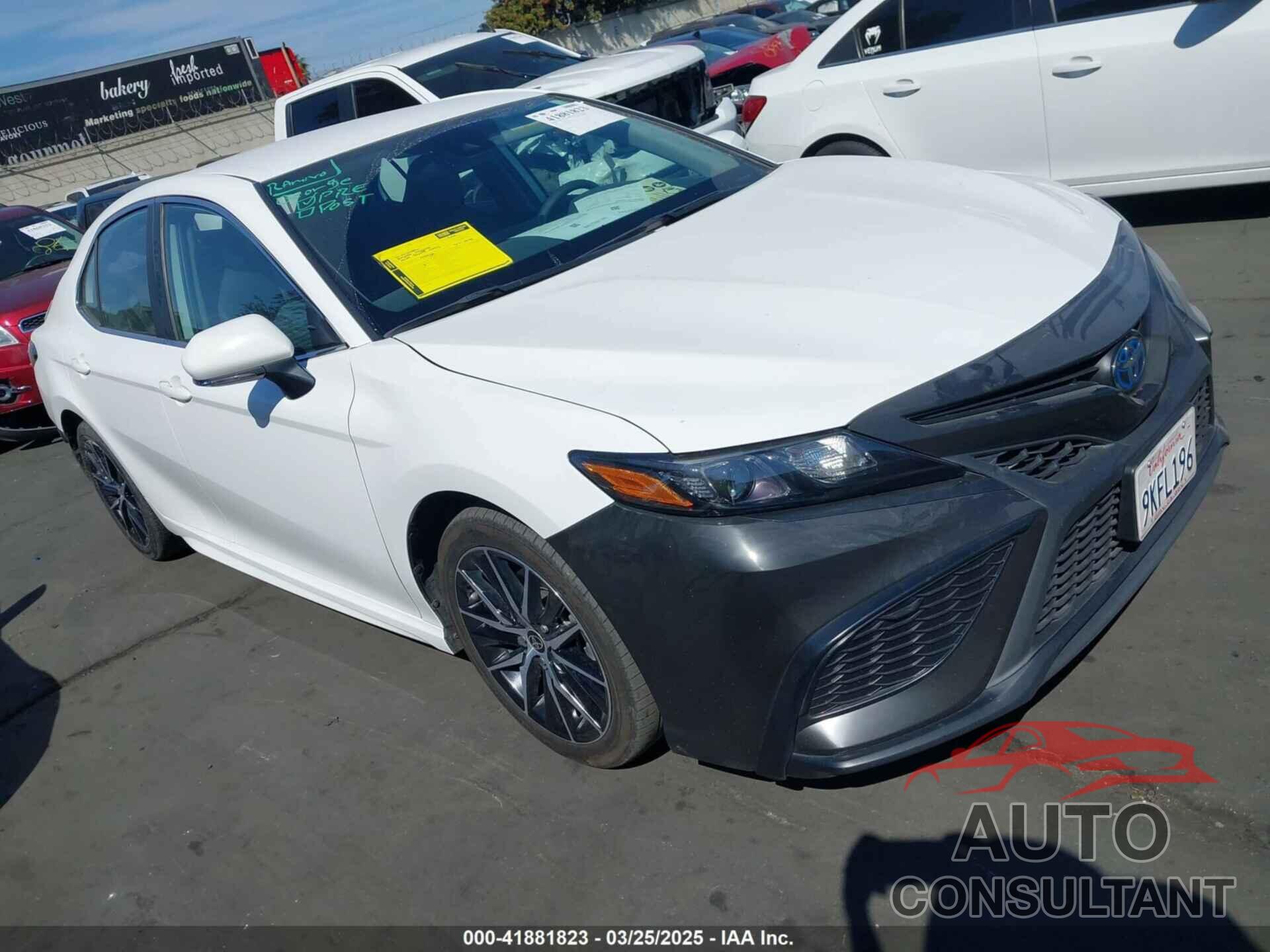 TOYOTA CAMRY HYBRID 2024 - 4T1G31AK1RU067607