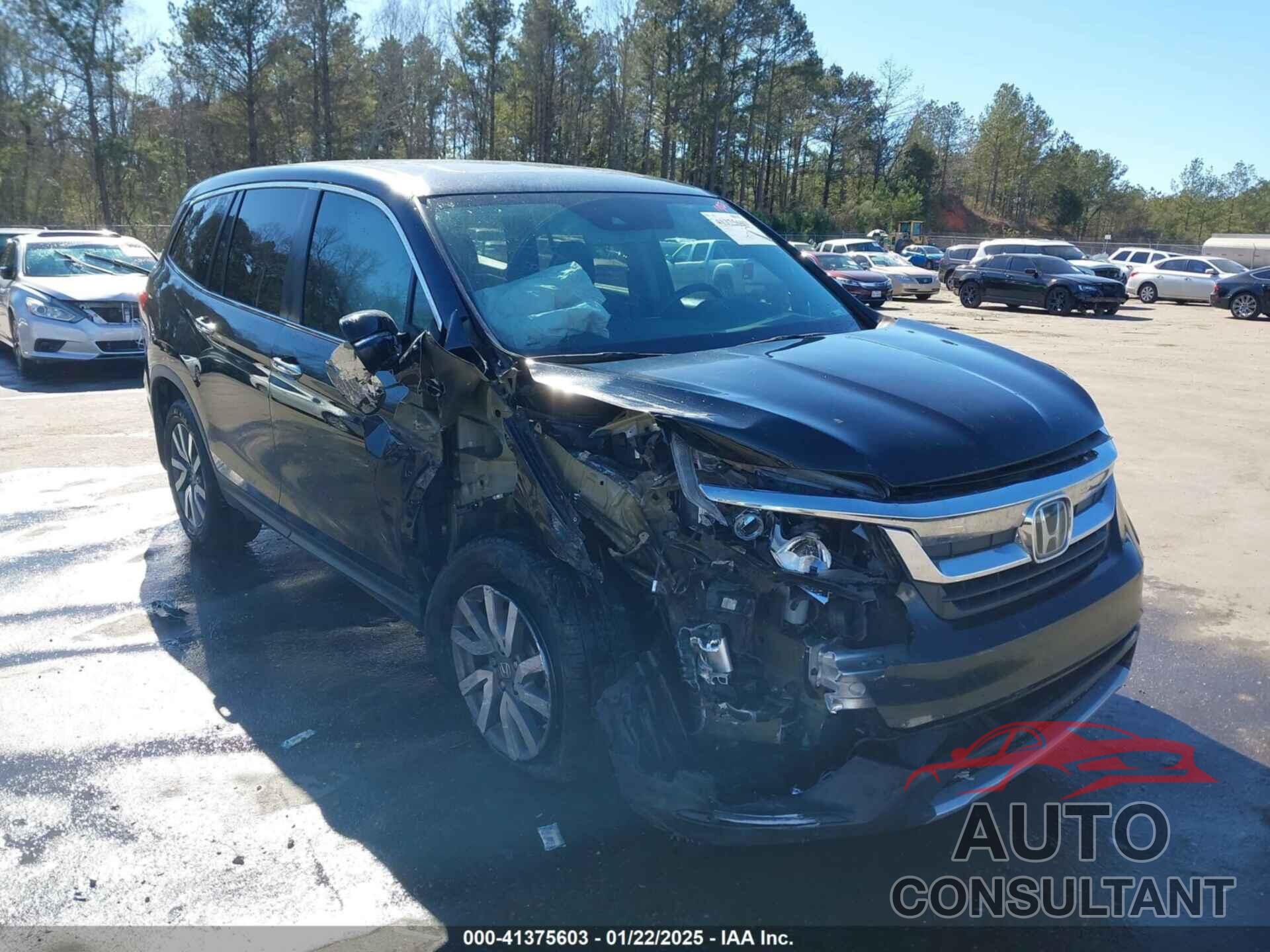 HONDA PILOT 2019 - 5FNYF6H58KB032669