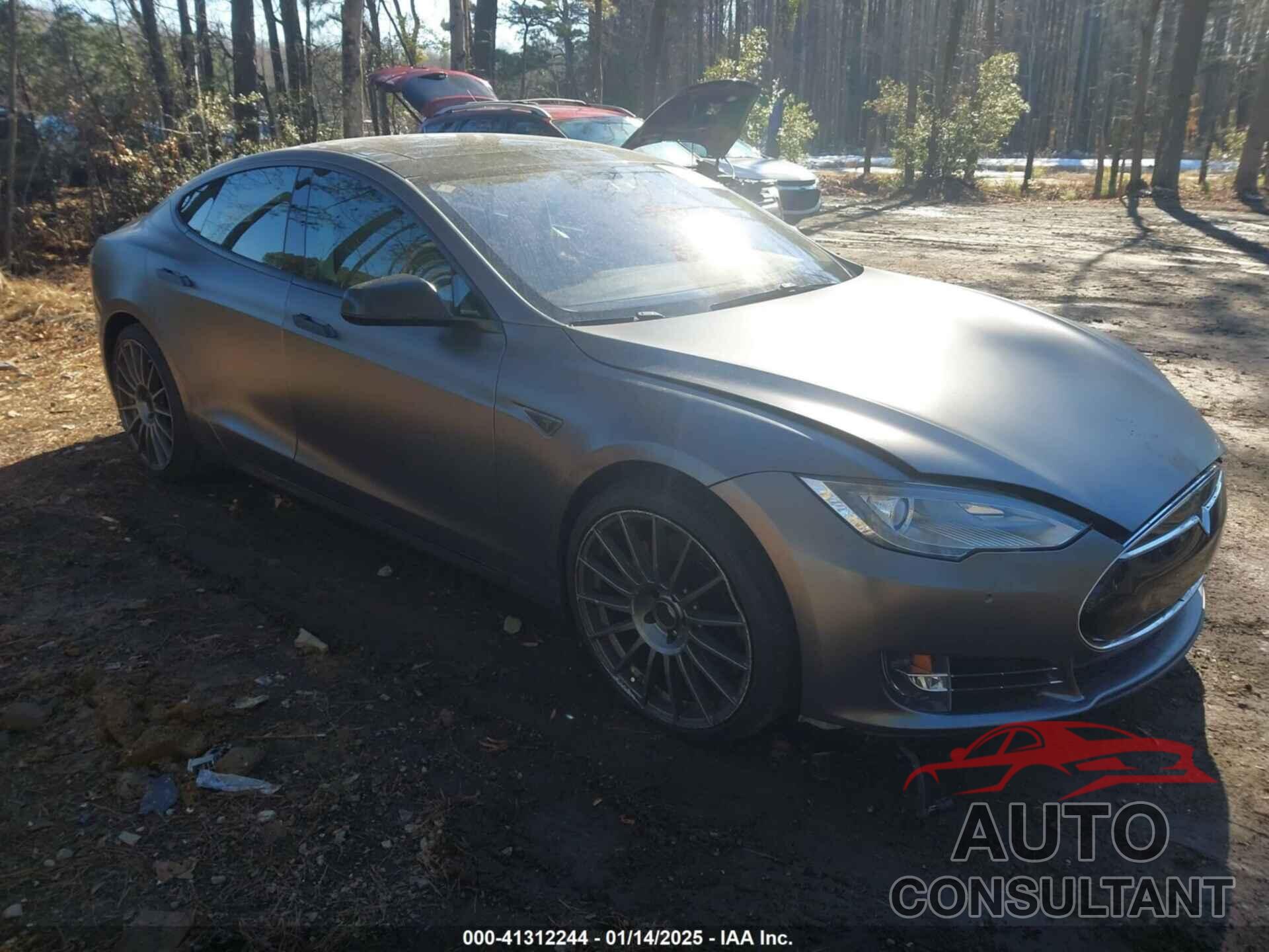 TESLA MODEL S 2014 - 5YJSA1S14EFP29418