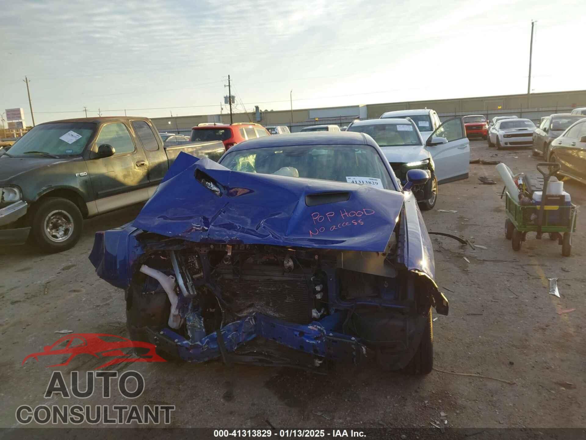 DODGE CHALLENGER 2020 - 2C3CDZAG3LH110384