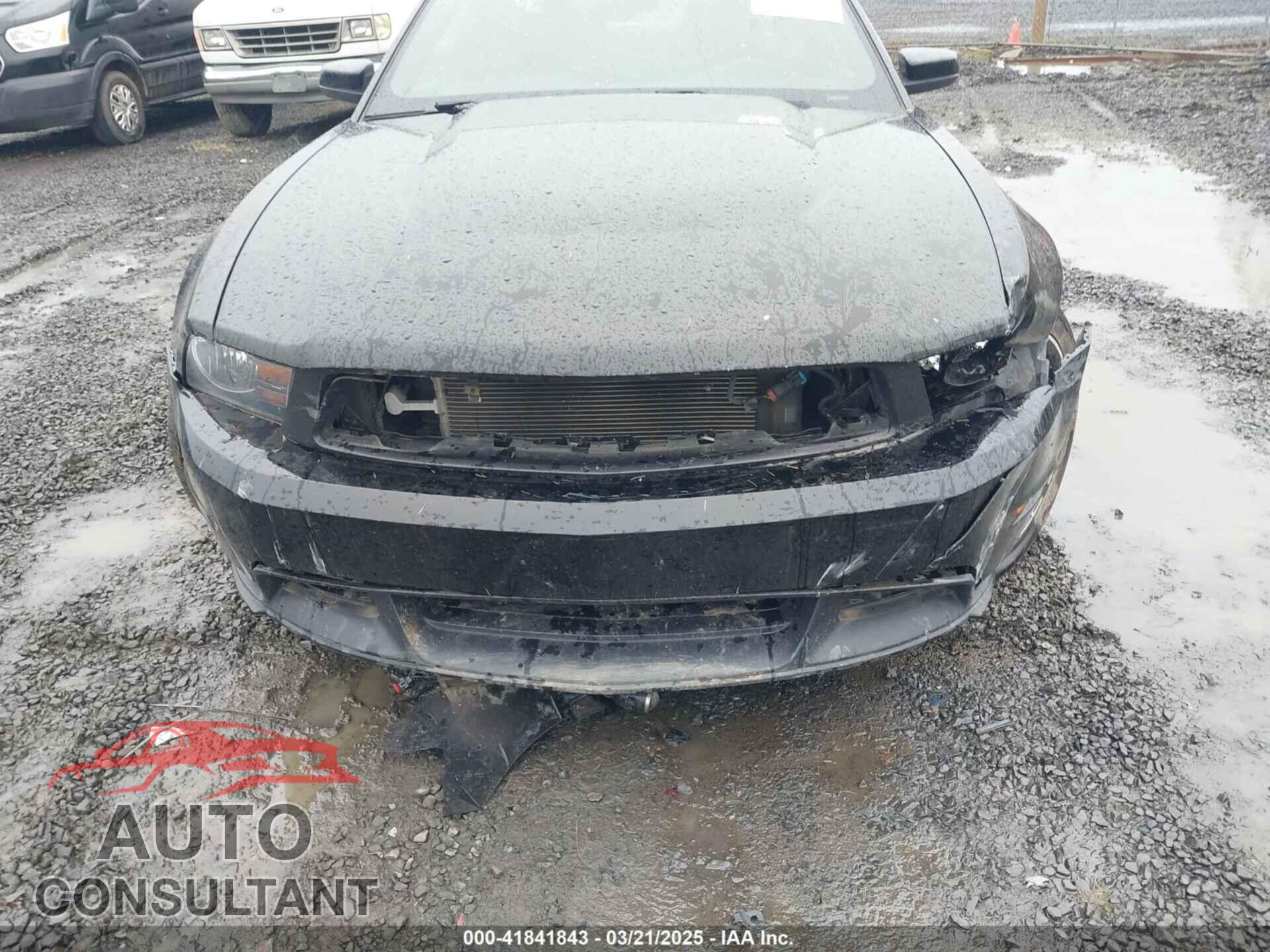 FORD MUSTANG 2011 - 1ZVBP8CFXB5106767