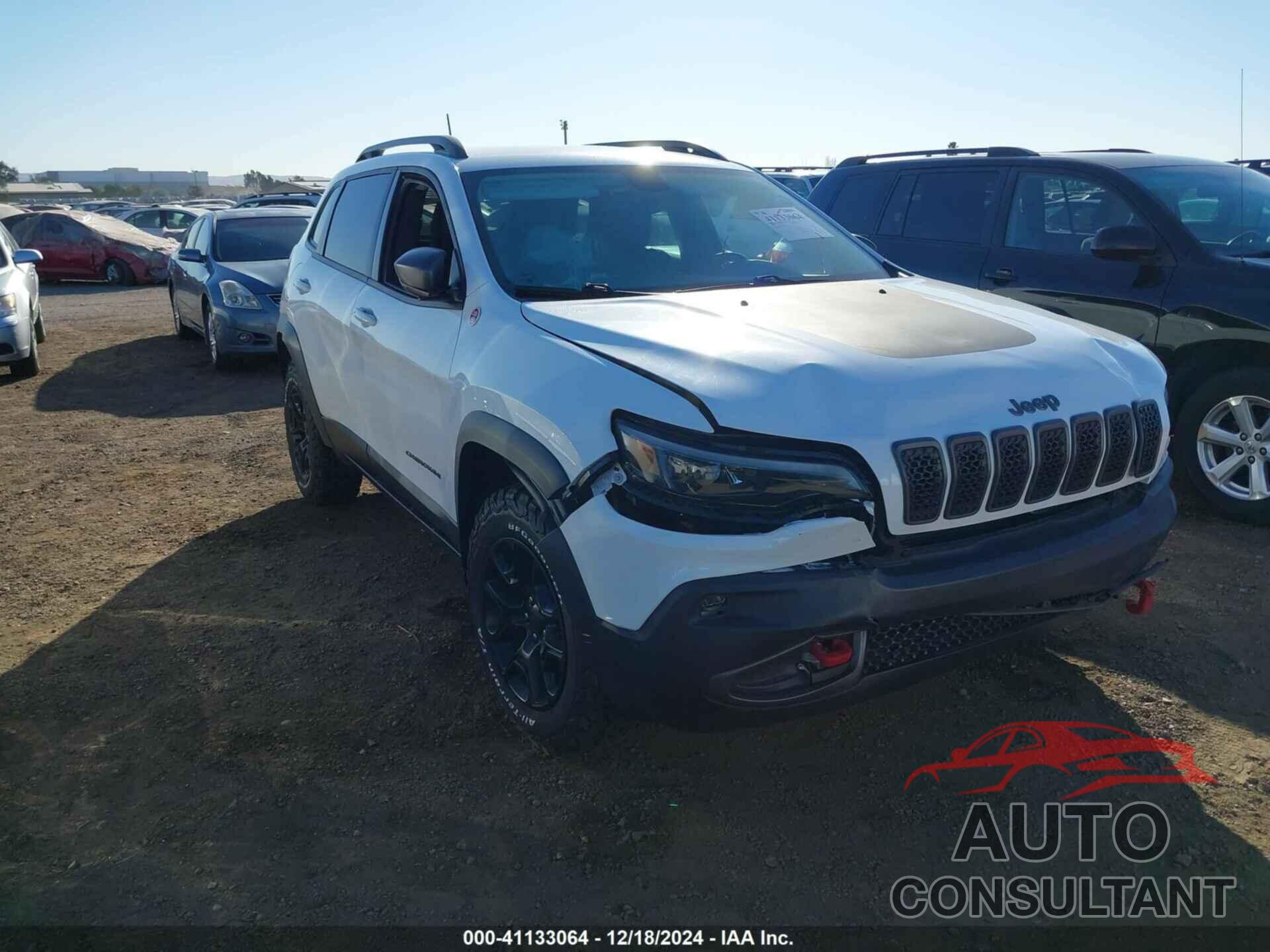 JEEP CHEROKEE 2020 - 1C4PJMBN9LD502465