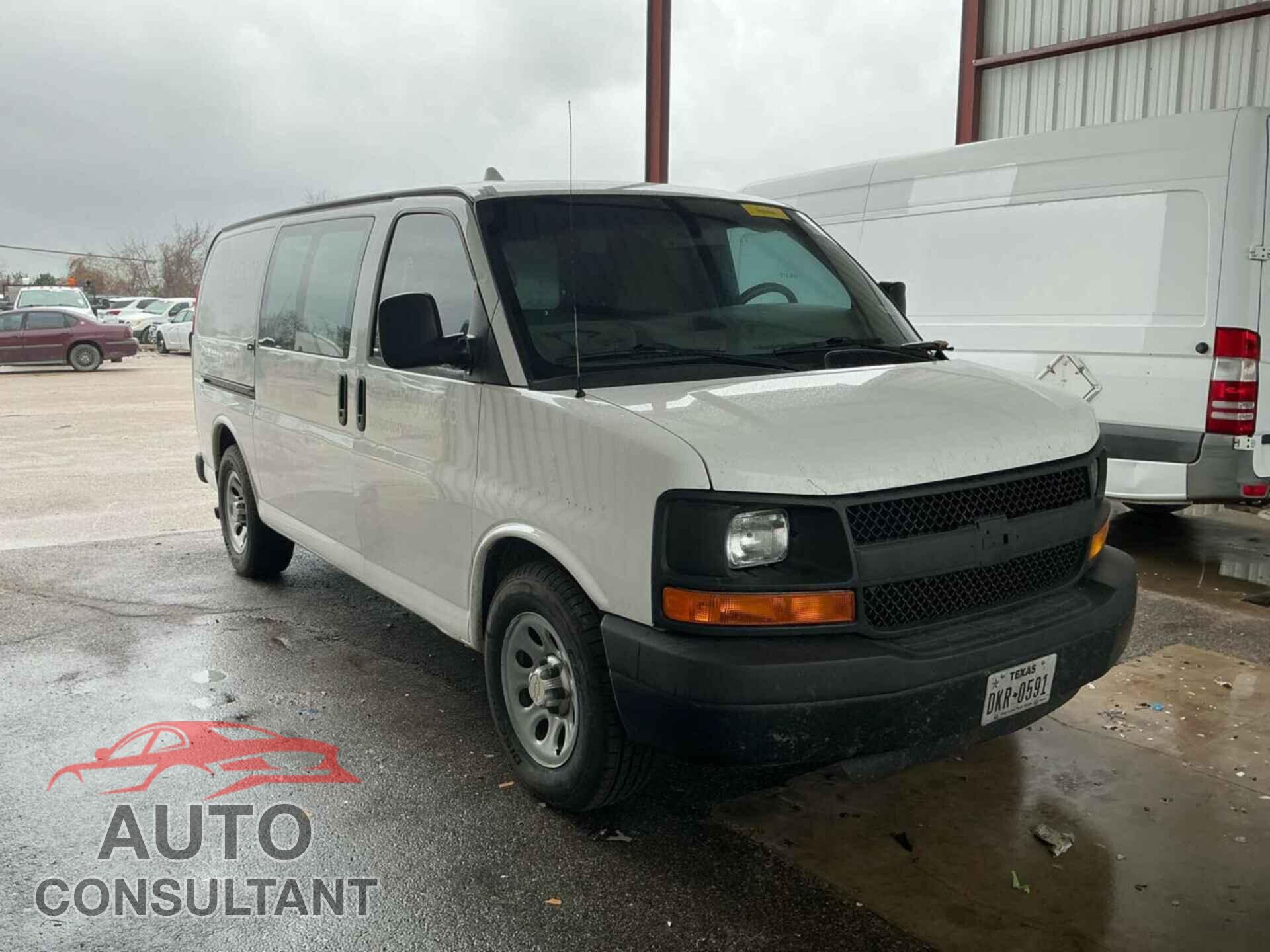 CHEVROLET EXPRESS G1500 2014 - 1GCSGAFX8E1156268