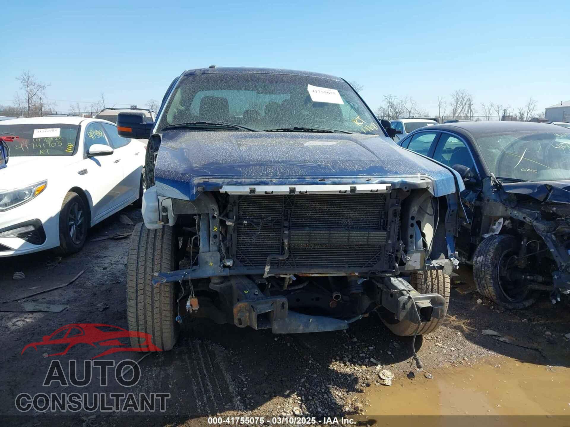 FORD F-150 2013 - 1FTFX1ET2DFD06117