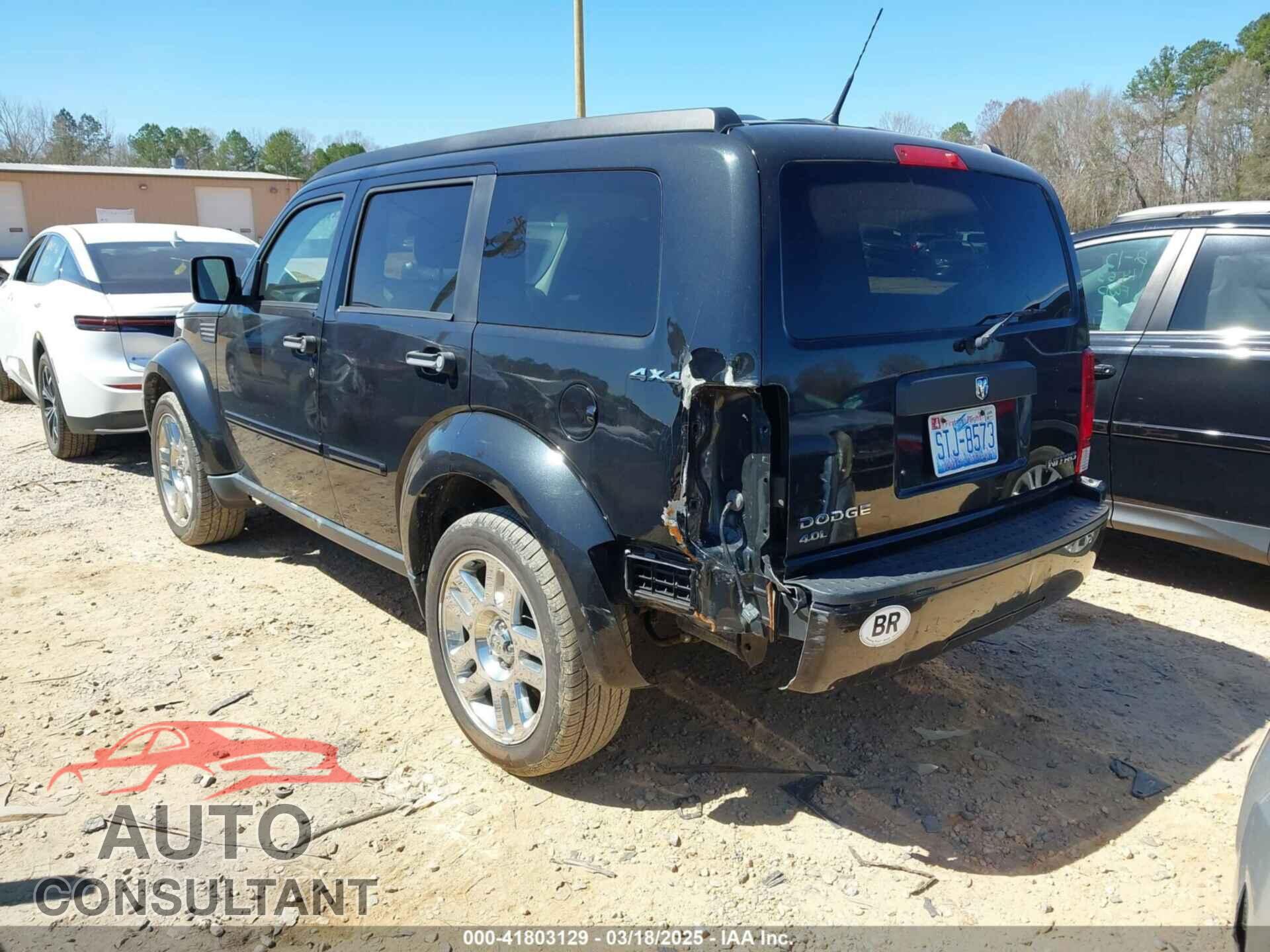 DODGE NITRO 2011 - 1D4PU4GX7BW565927