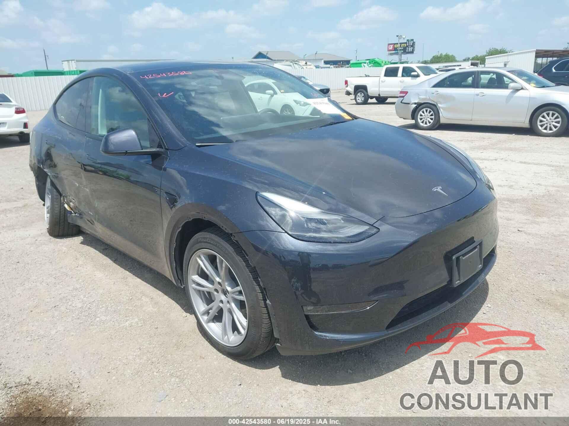 TESLA MODEL Y 2024 - 7SAYGAEEXRF066758
