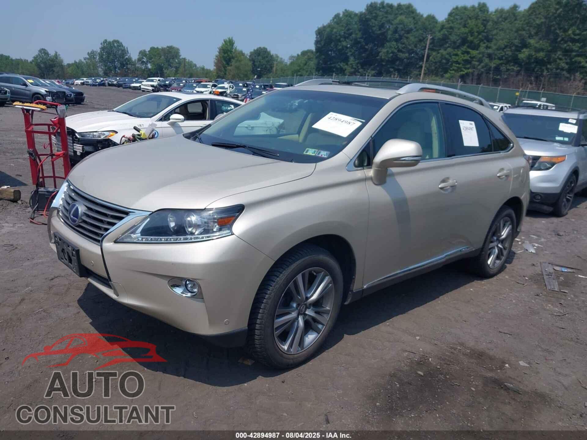 LEXUS RX 450H 2015 - 2T2BC1BA3FC005490