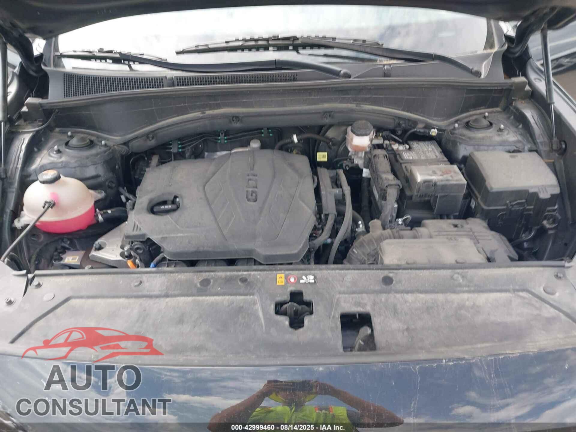 HYUNDAI SANTA FE 2023 - 5NMS14AJ1PH628471
