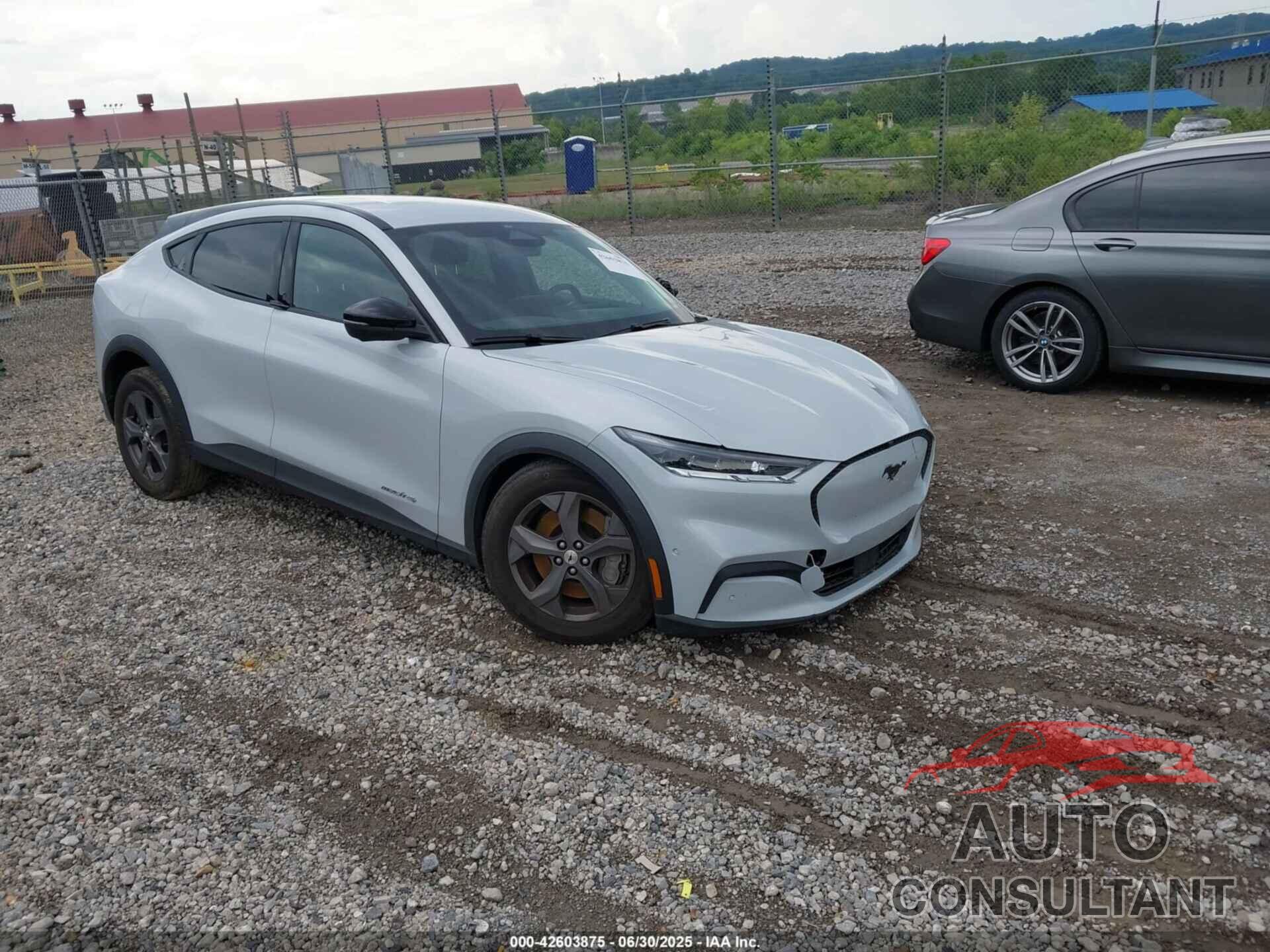 FORD MUSTANG MACH-E 2023 - 3FMTK1S5XPMA87642