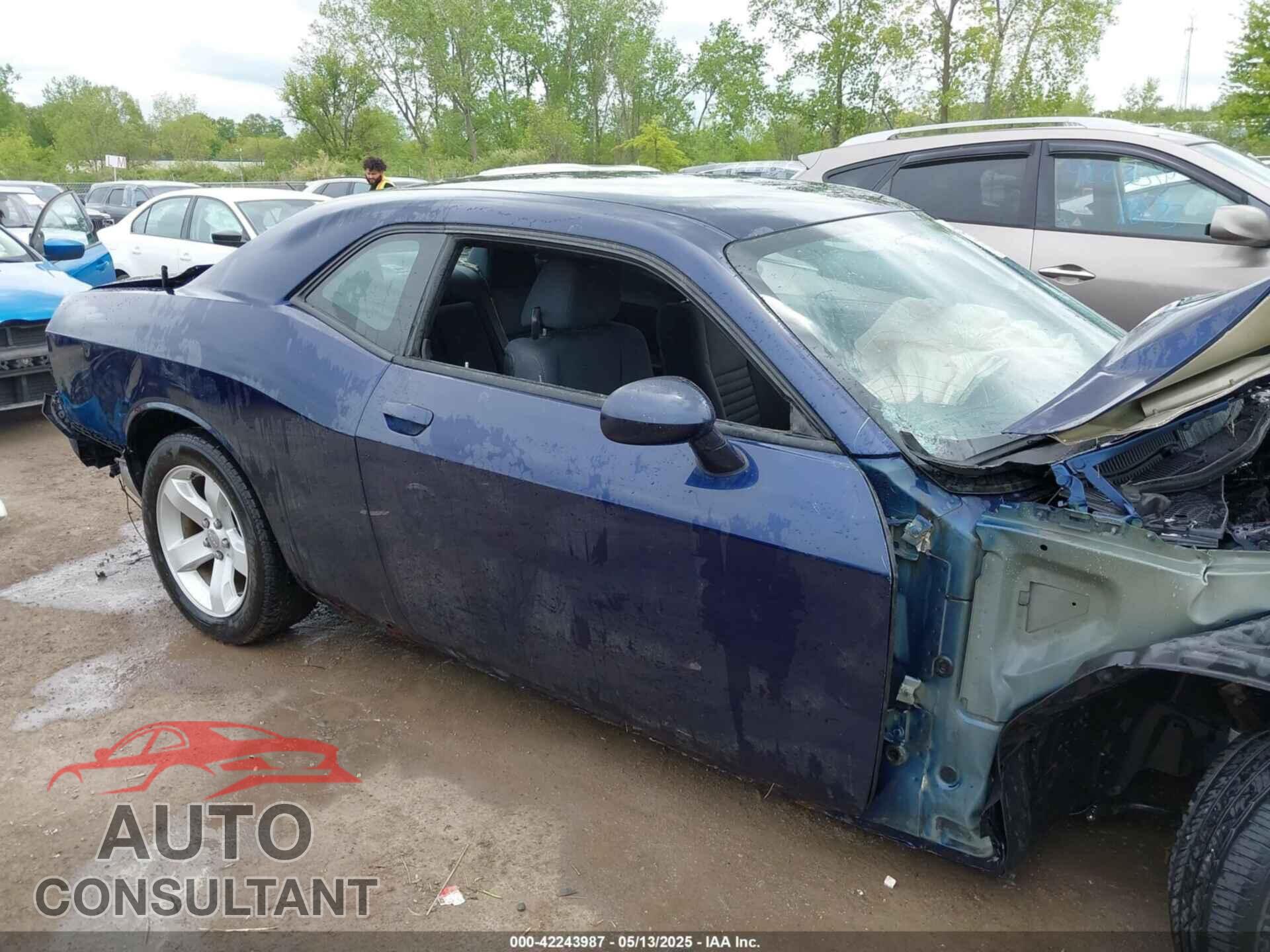 DODGE CHALLENGER 2013 - 2C3CDYAG3DH665962