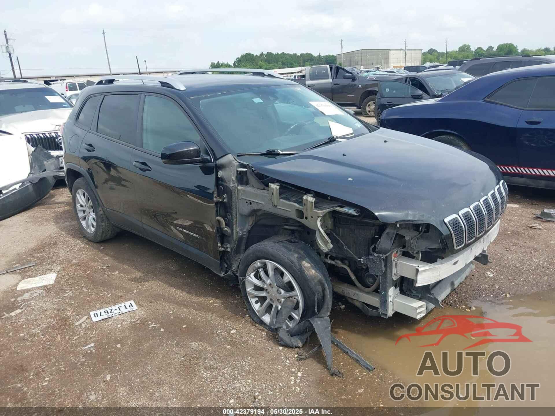 JEEP CHEROKEE 2021 - 1C4PJLCB8MD116023