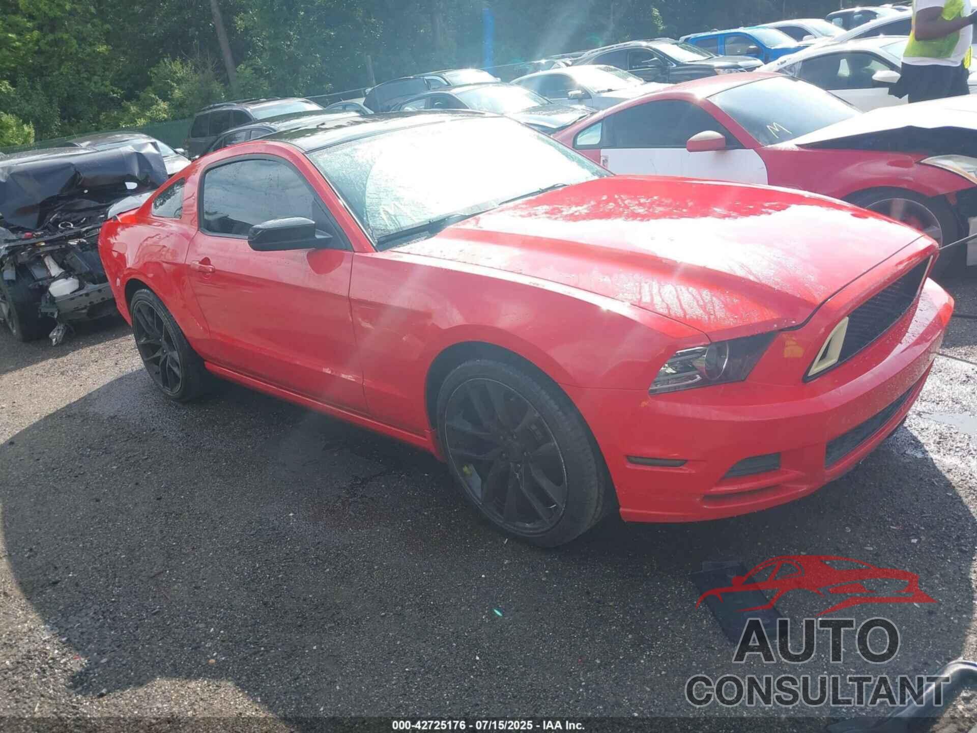 FORD MUSTANG 2014 - 1ZVBP8AM8E5272193