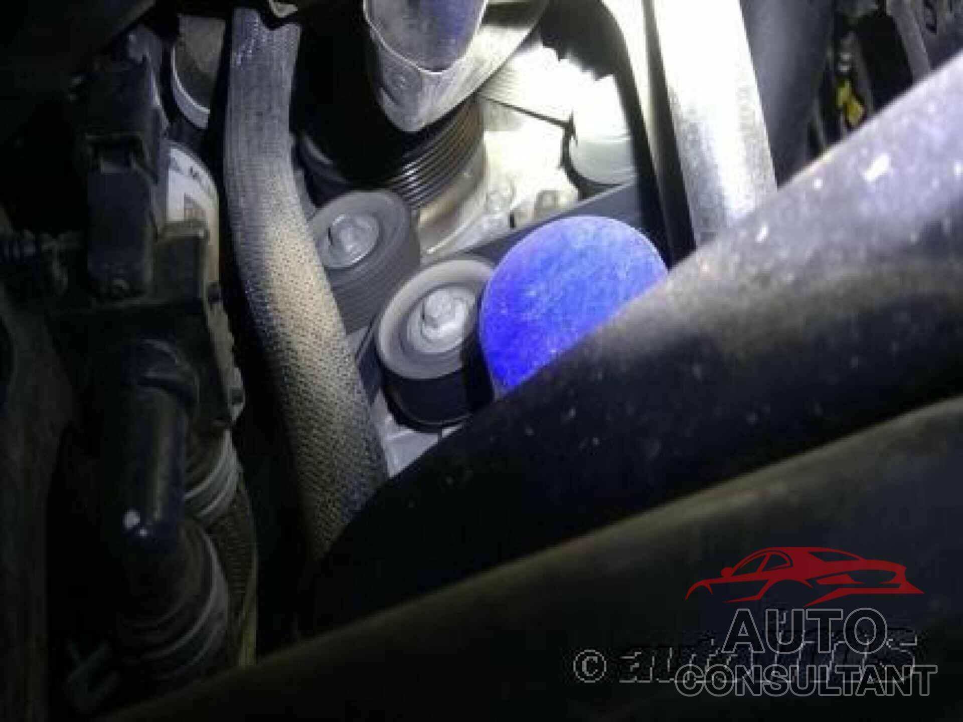 FORD F-150 2021 - 1FTFW1E81MKF01101
