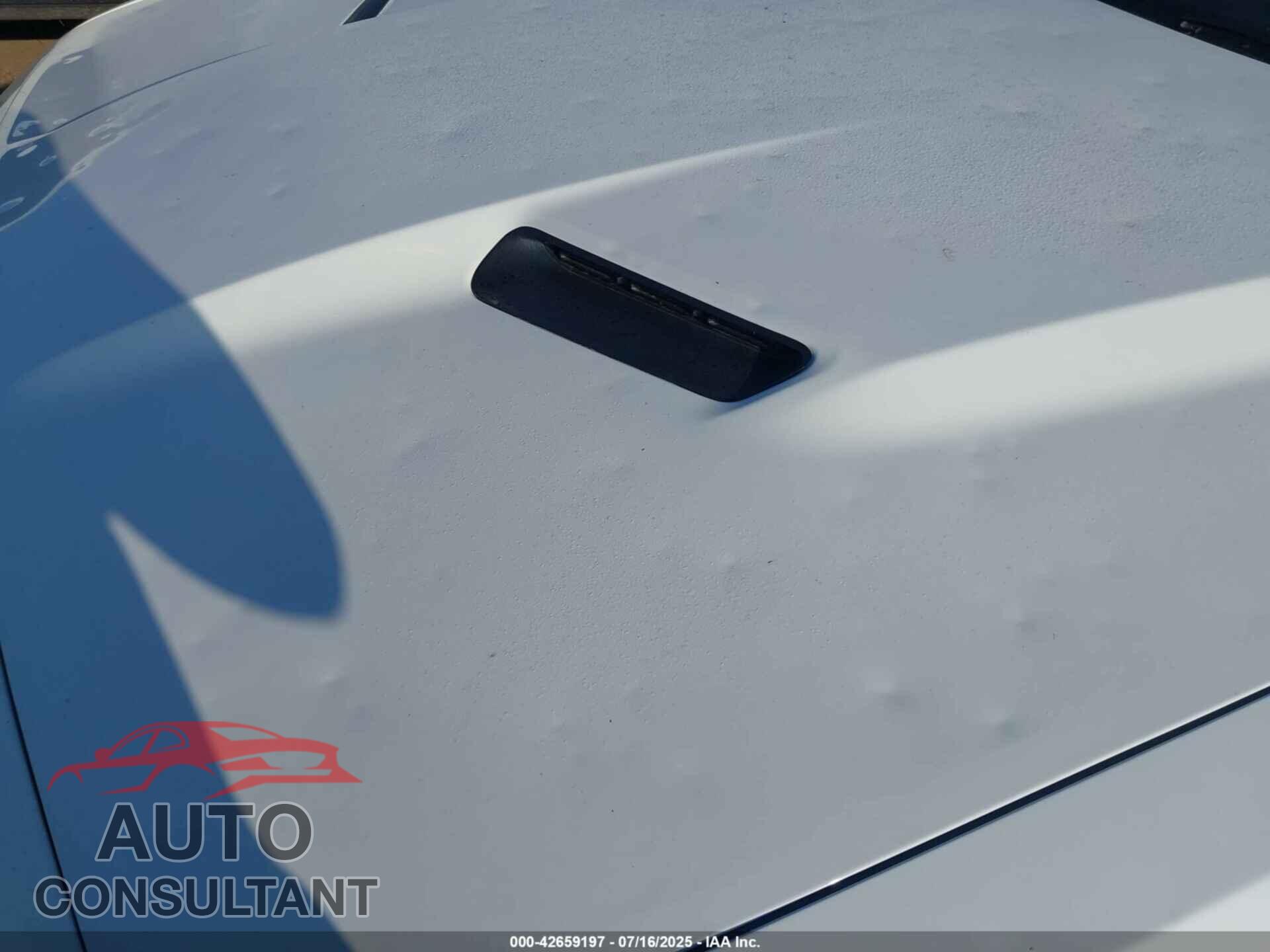 DODGE CHALLENGER 2019 - 2C3CDZAG8KH751495