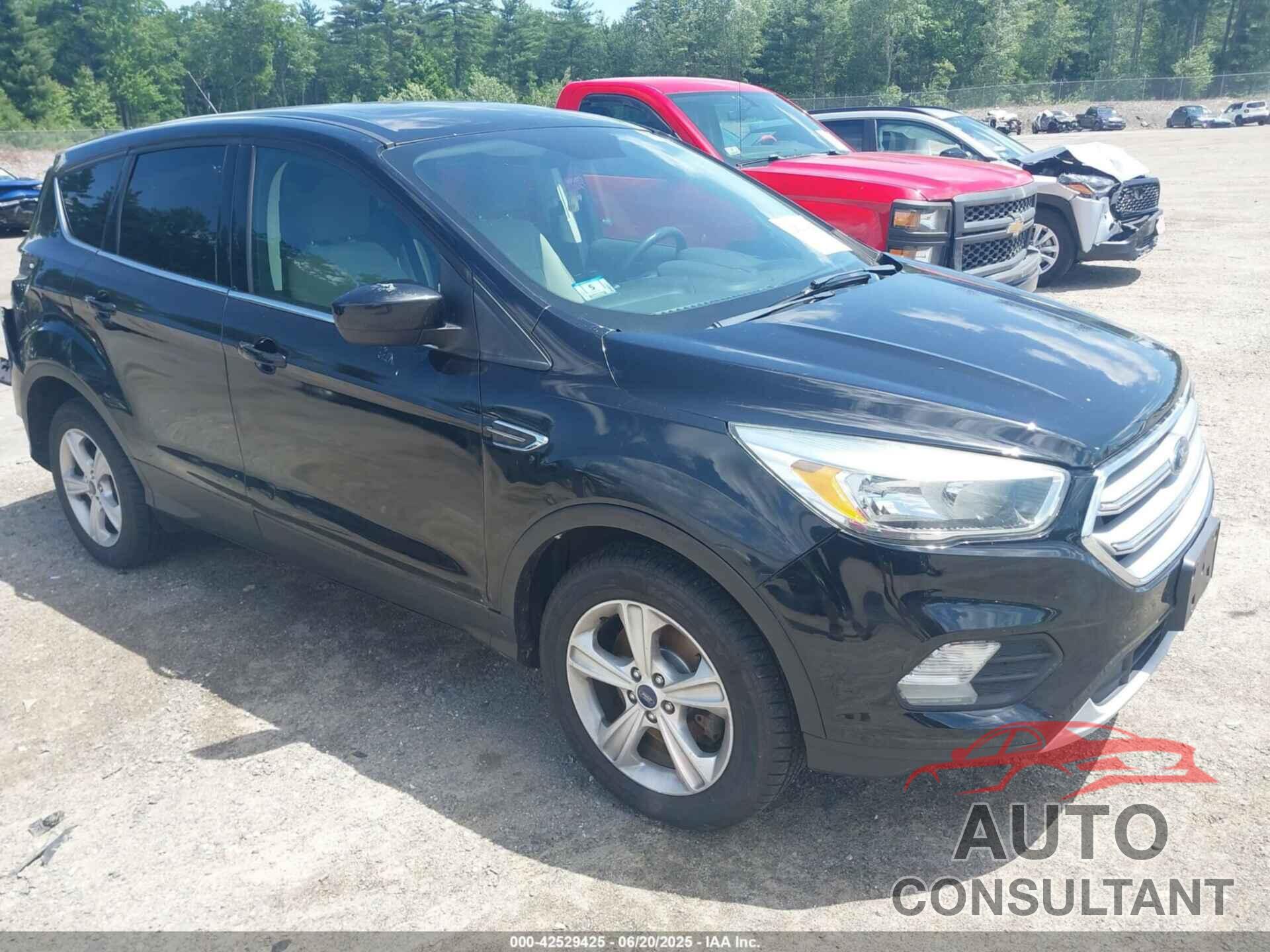 FORD ESCAPE 2017 - 1FMCU0G93HUB04407