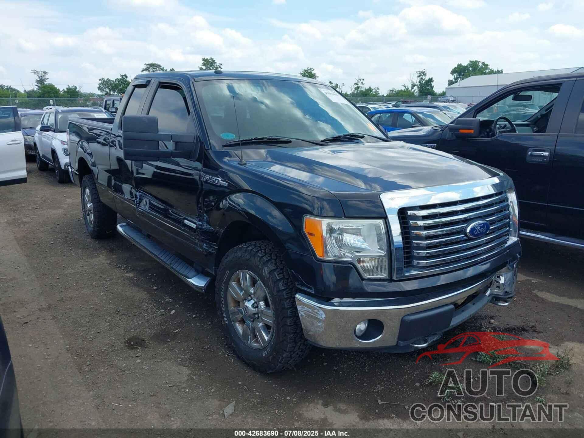 FORD F-150 2011 - 1FTFX1ETXBFB93305