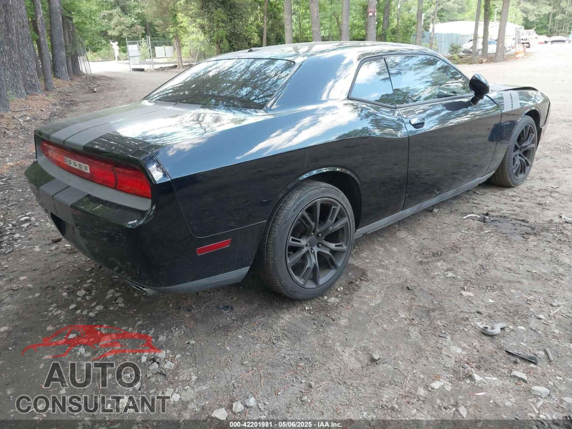 DODGE CHALLENGER 2013 - 2C3CDYAG2DH632743