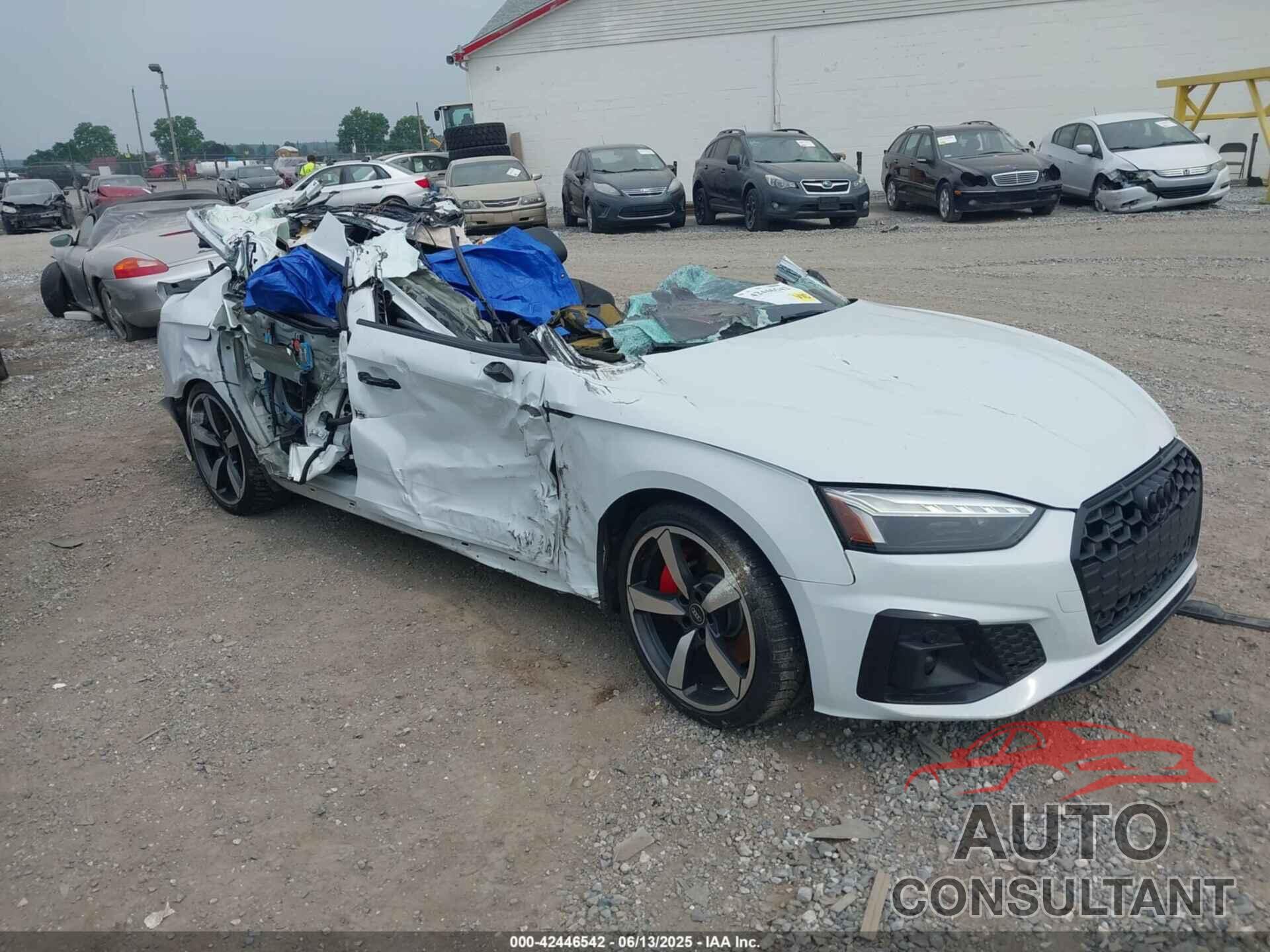 AUDI A5 SPORTBACK 2022 - WAUFACF54NA028006