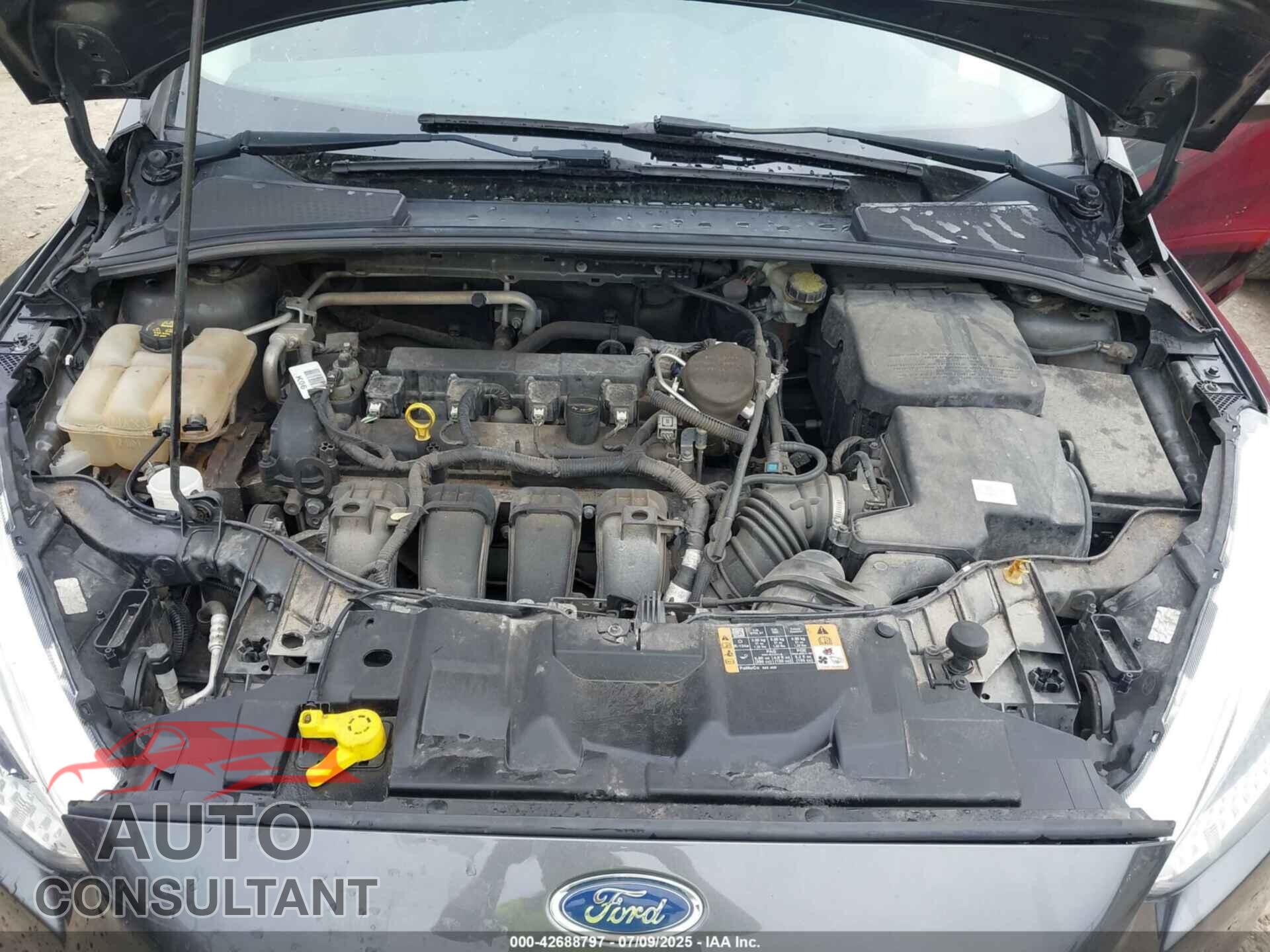 FORD FOCUS 2016 - 1FADP3F29GL292091