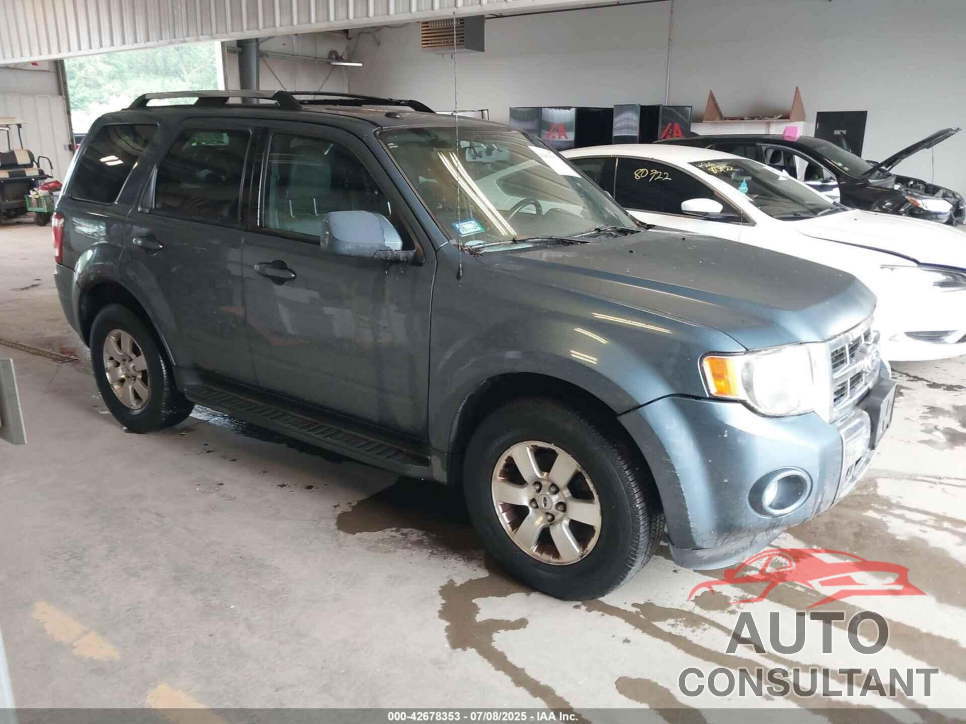 FORD ESCAPE 2011 - 1FMCU9EG4BKA50530