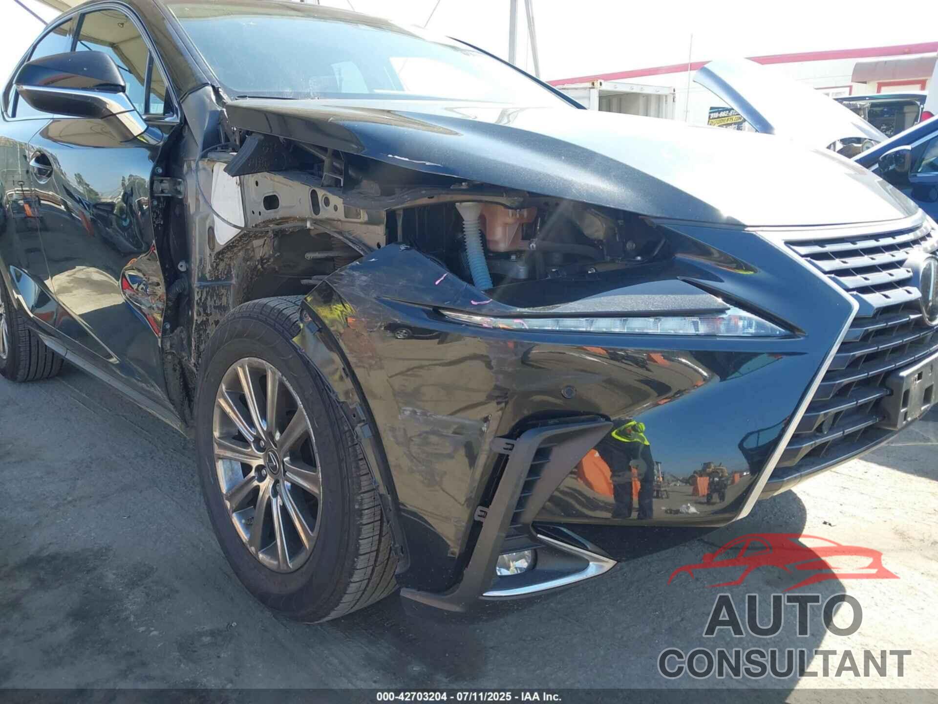 LEXUS NX 300 2019 - JTJYARBZ3K2135347