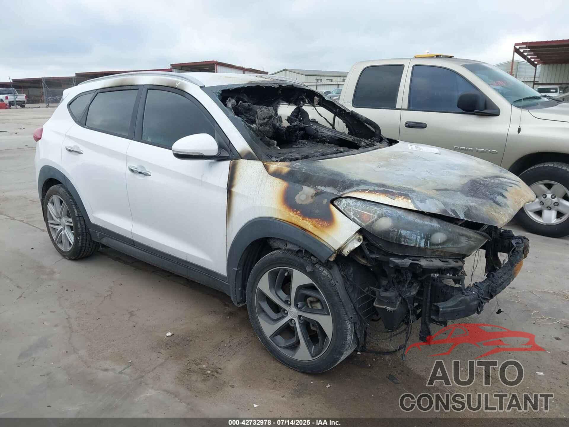 HYUNDAI TUCSON 2016 - KM8J33A26GU077709