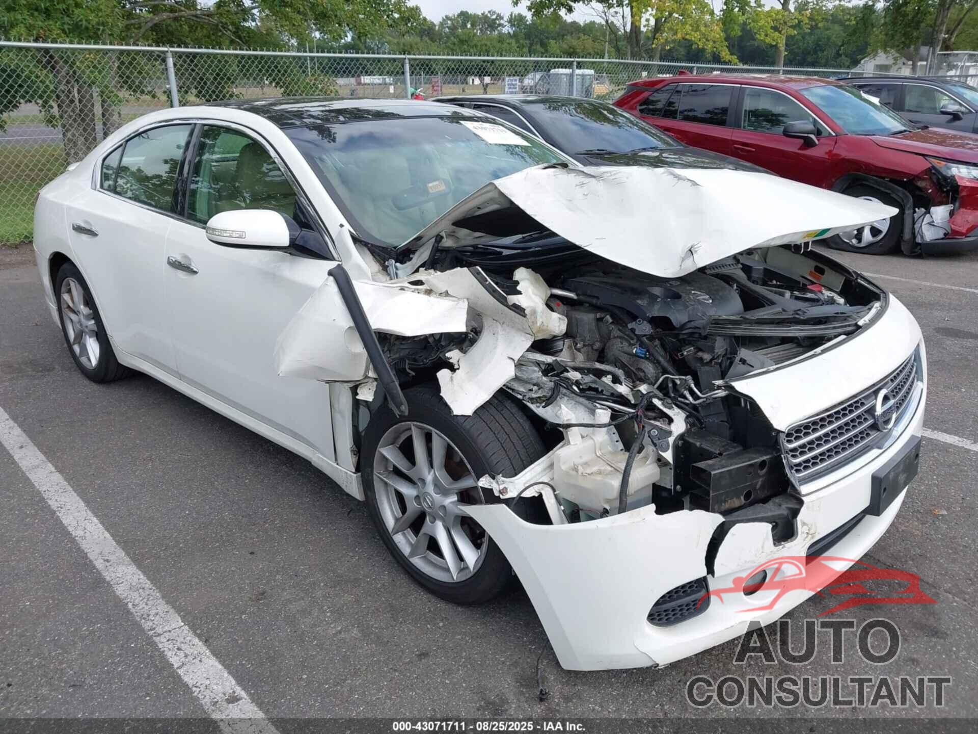 NISSAN MAXIMA 2011 - 1N4AA5AP0BC863205