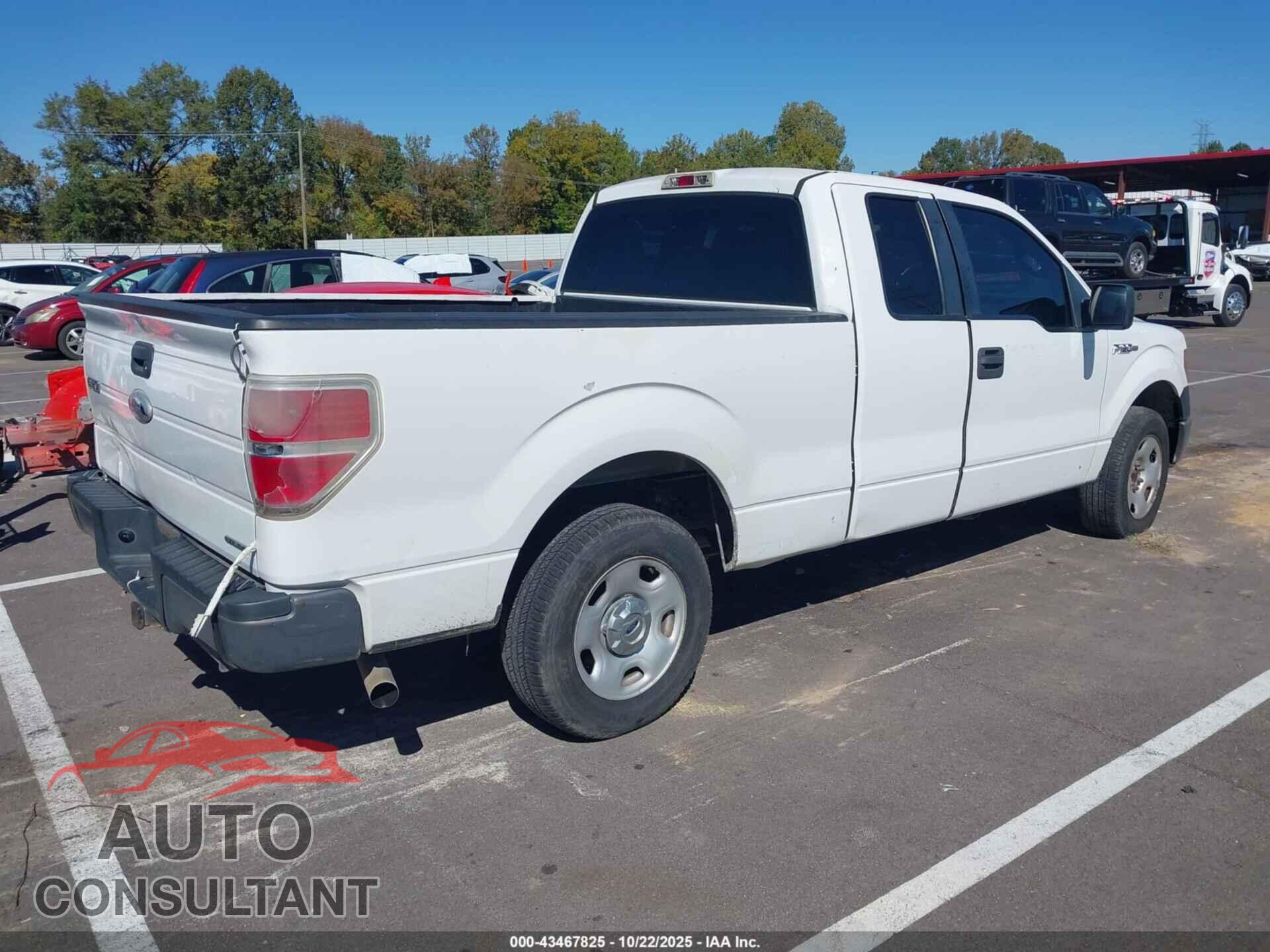 FORD F-150 2011 - 1FTFX1CF9BFC06557