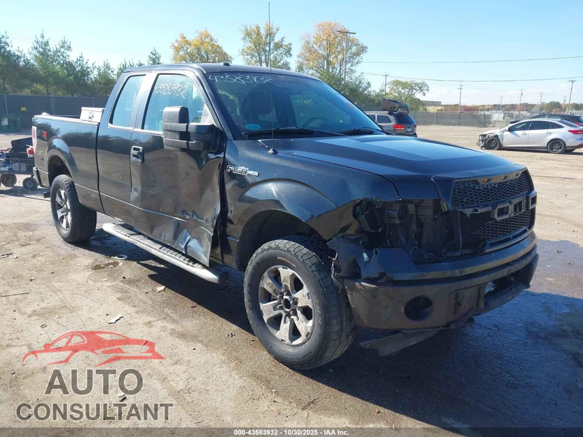 FORD F-150 2011 - 1FTFX1EF9BFB15463