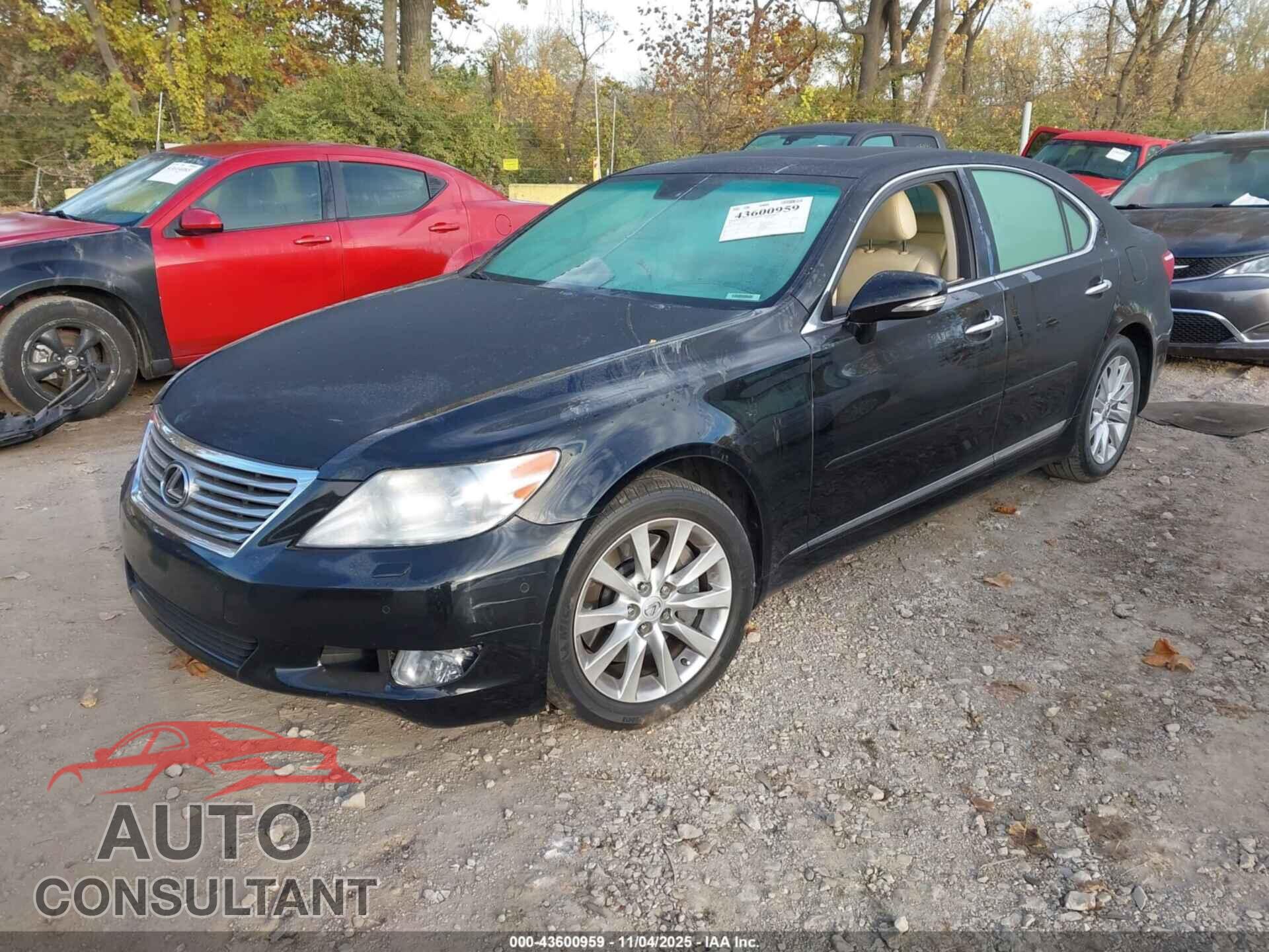 LEXUS LS 460 2012 - JTHCL5EF2C5013059