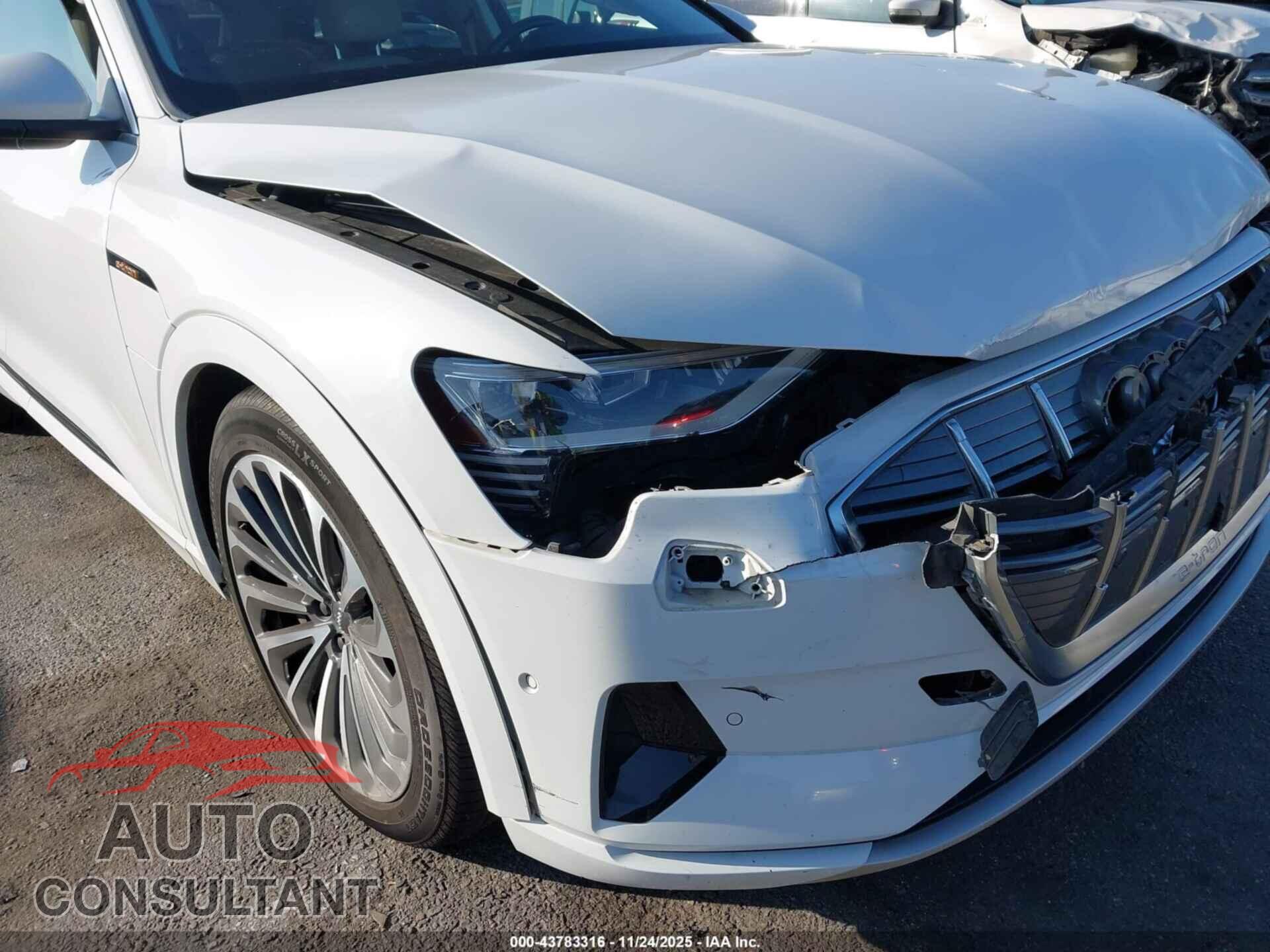 AUDI E-TRON 2019 - WA1VABGE3KB018994